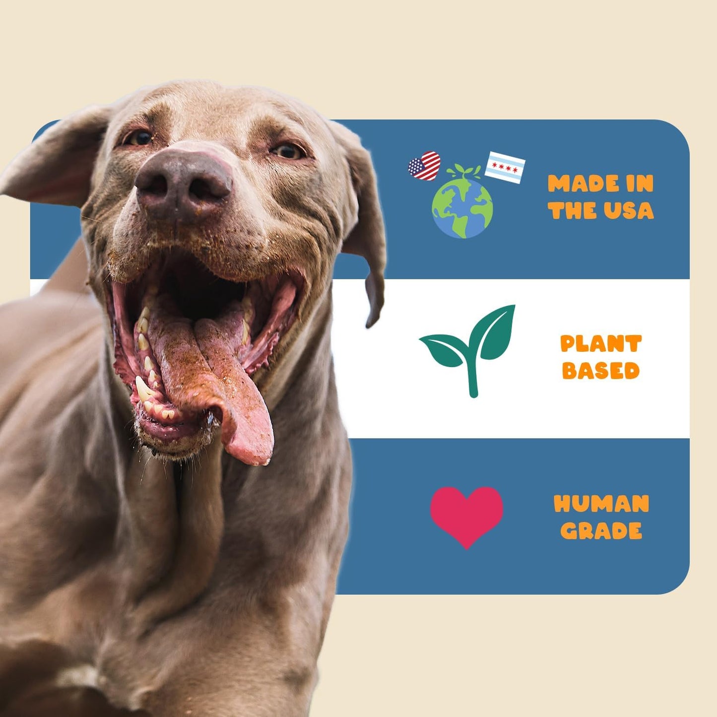 Natural Dog Allergy Relief Chews with Quercetin and Omega 3 - Antihistamine for Itching, Paw Licking, Allergies - Supports Skin Health and Immune System