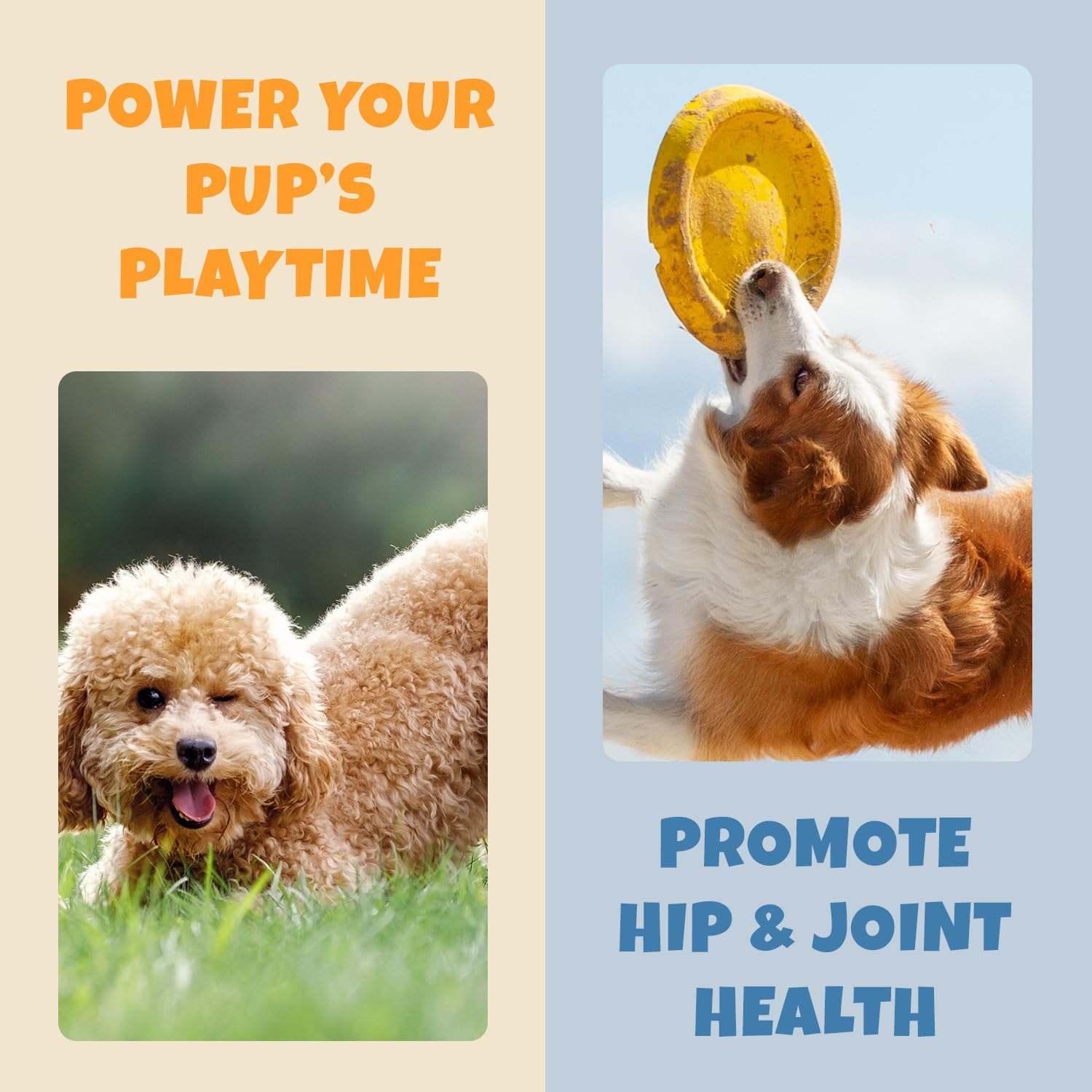 Natural Dog Allergy Relief Chews with Quercetin and Omega 3 - Antihistamine for Itching, Paw Licking, Allergies - Supports Skin Health and Immune System