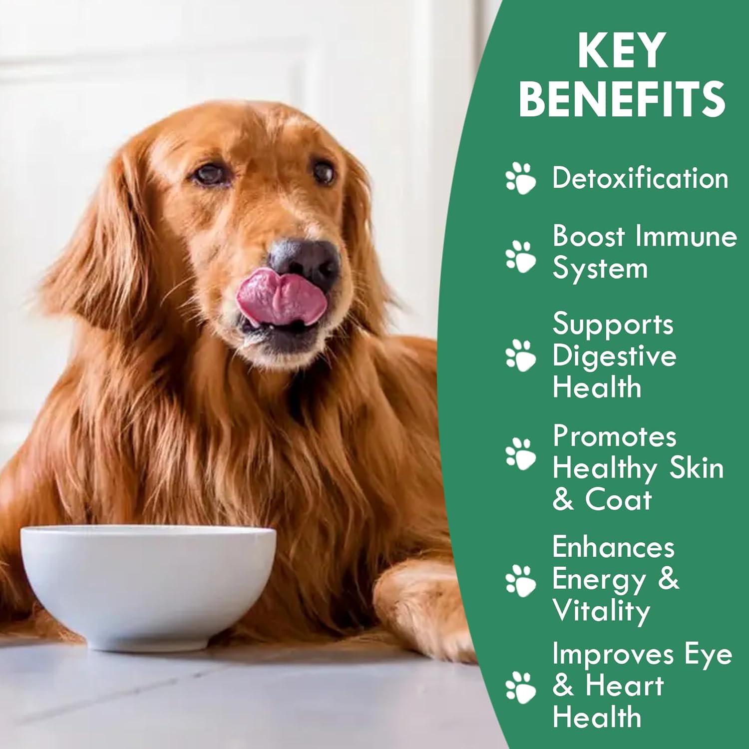Natural Dog Breath Freshener & Immune Booster Supplement with Human Grade Fermented Chlorella - 100 Vegan Tablets