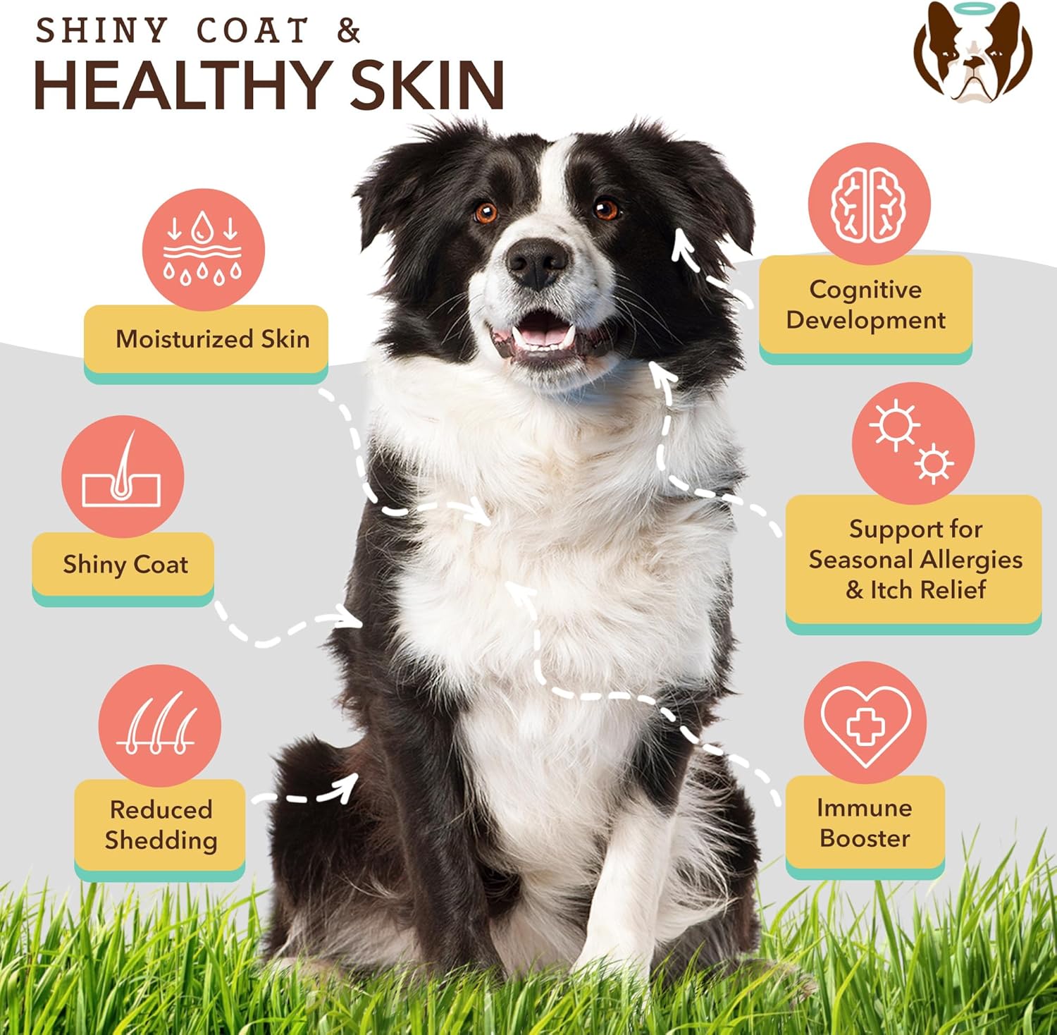 Natural Dog Company Skin and Coat Chews 2-Pack with Salmon & Peas Flavor - Vitamins for Healthy Skin, Coat, Itch Relief, Allergies - Biotin, Vitamin E, Omega 3 Supplement