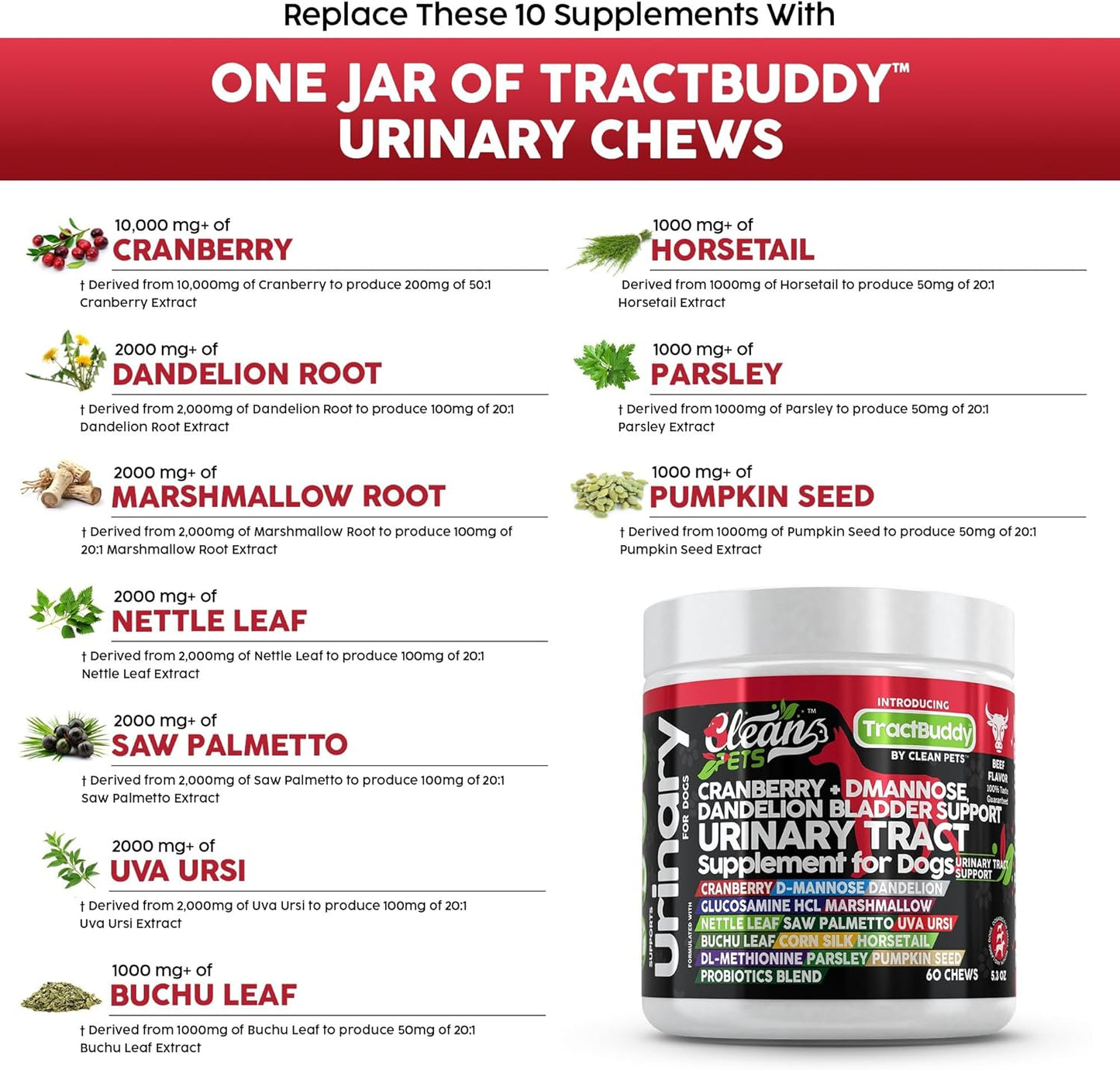 Natural Dog UTI Support Supplement with Cranberry, D-Mannose, and Herbal Ingredients for Urinary Tract Health and Bladder Stones