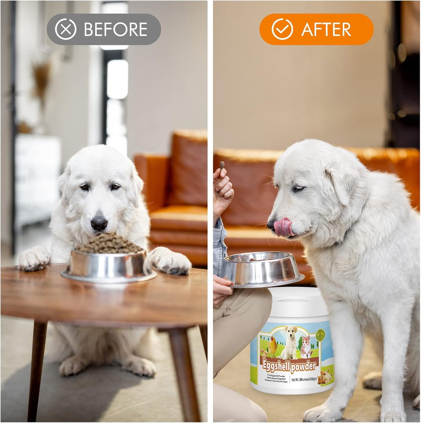 Natural Eggshell Powder Calcium Supplement for Pets (16 oz) - Ideal for Osteoporosis & Whelping - Safe Bone Meal Alternative - Strengthens Bones, Joints, & Teeth