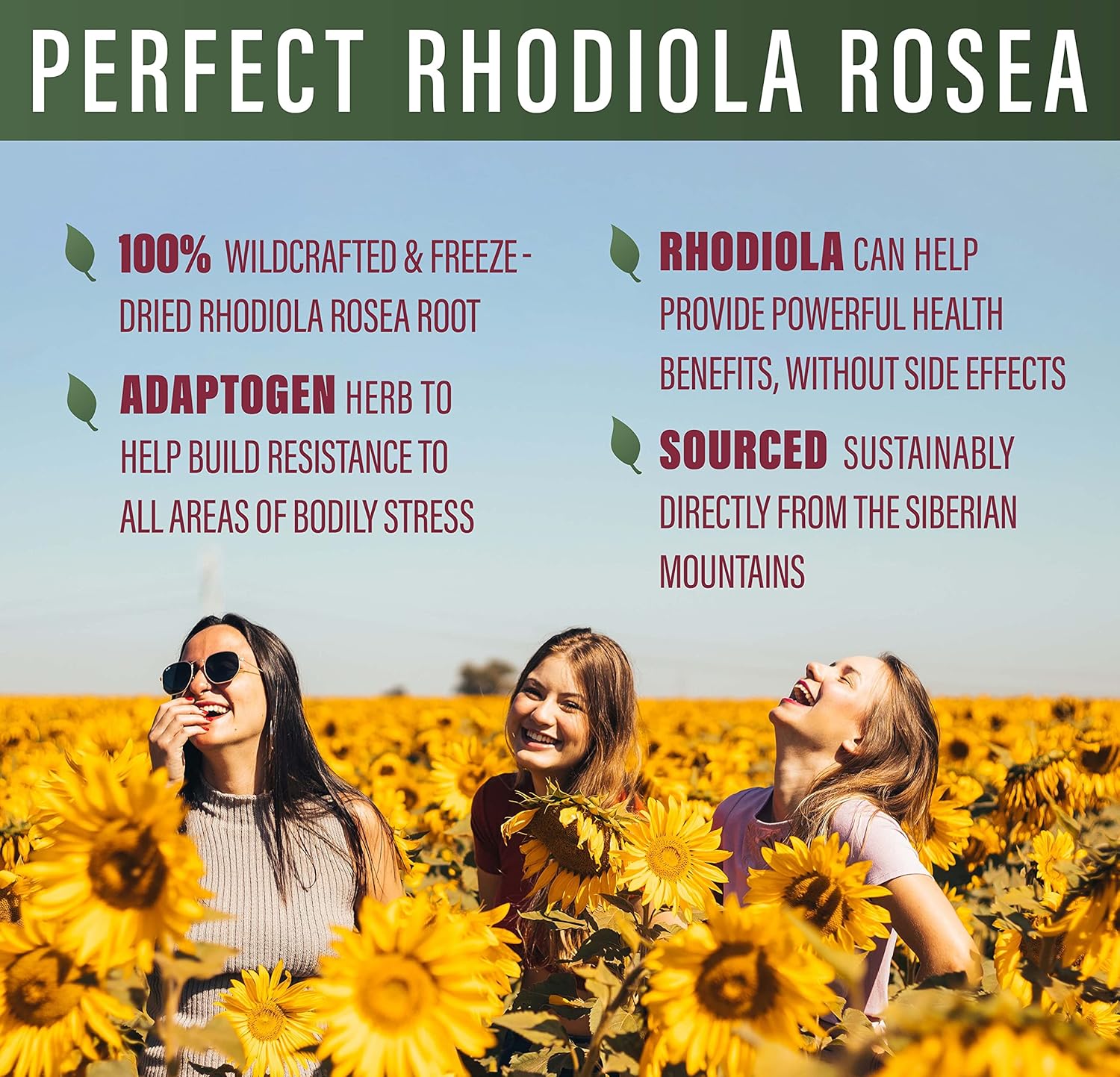 Natural Energy and Focus Boosting Supplement: Perfect Rhodiola Rosea Capsules - 60 Count (2 Pack)