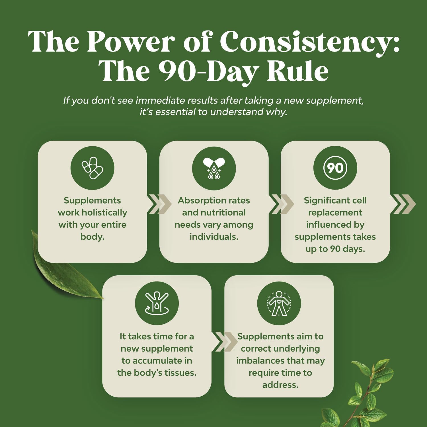 Natural Energy Supplement: Green Coffee Bean Extract with 50% Chlorogenic Acid for Heart Health, Mental Focus, and Size Reduction - Natures Craft