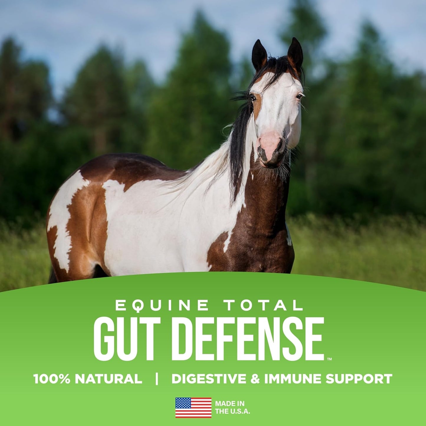 Natural Equine Gut Defense Supplement for Horses – Supports Digestion & Immune Health – Maintains Ph Levels – All-Natural Formula – Made in USA