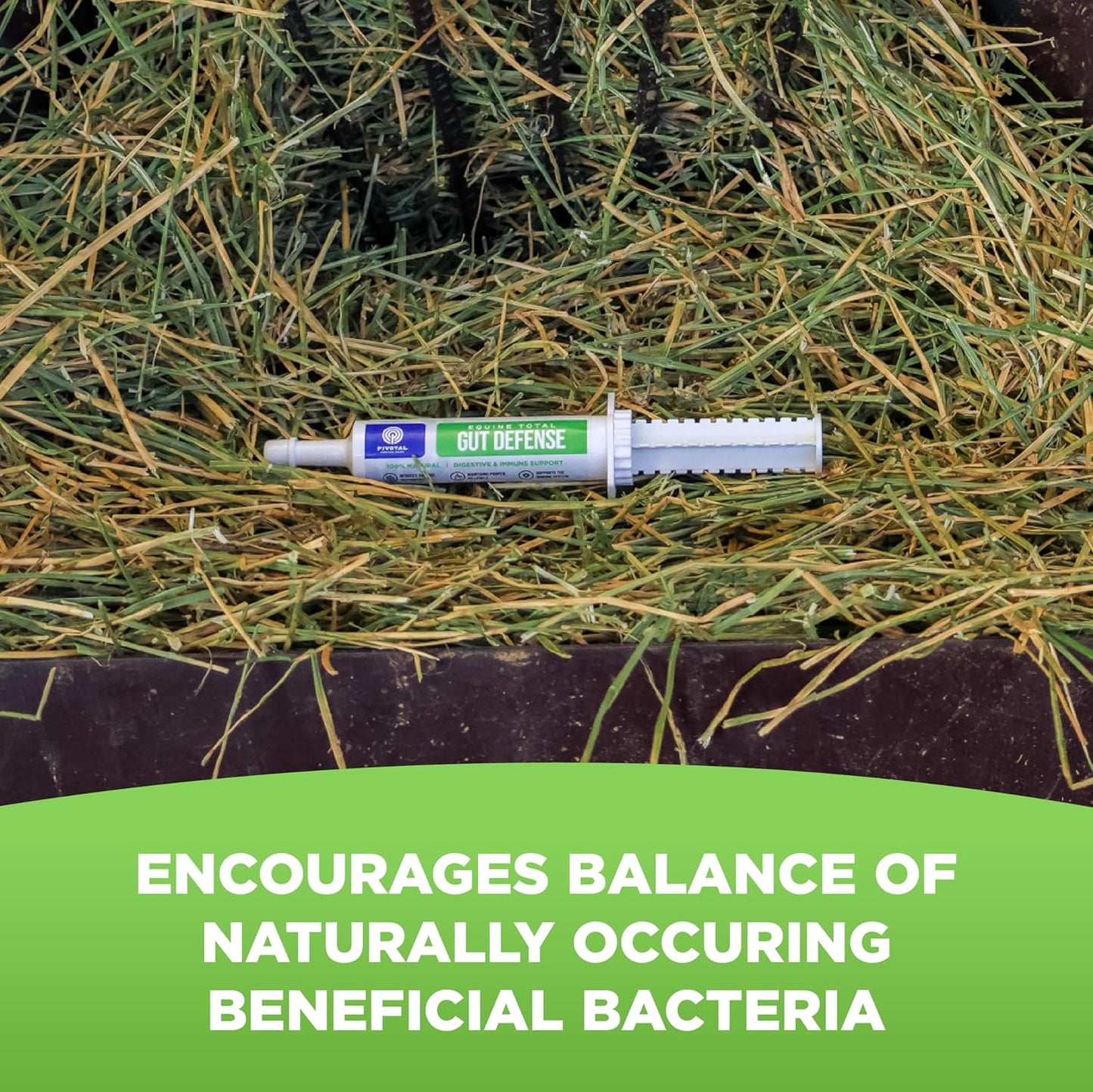 Natural Equine Gut Defense Supplement for Horses – Supports Digestion & Immune Health – Maintains Ph Levels – All-Natural Formula – Made in USA