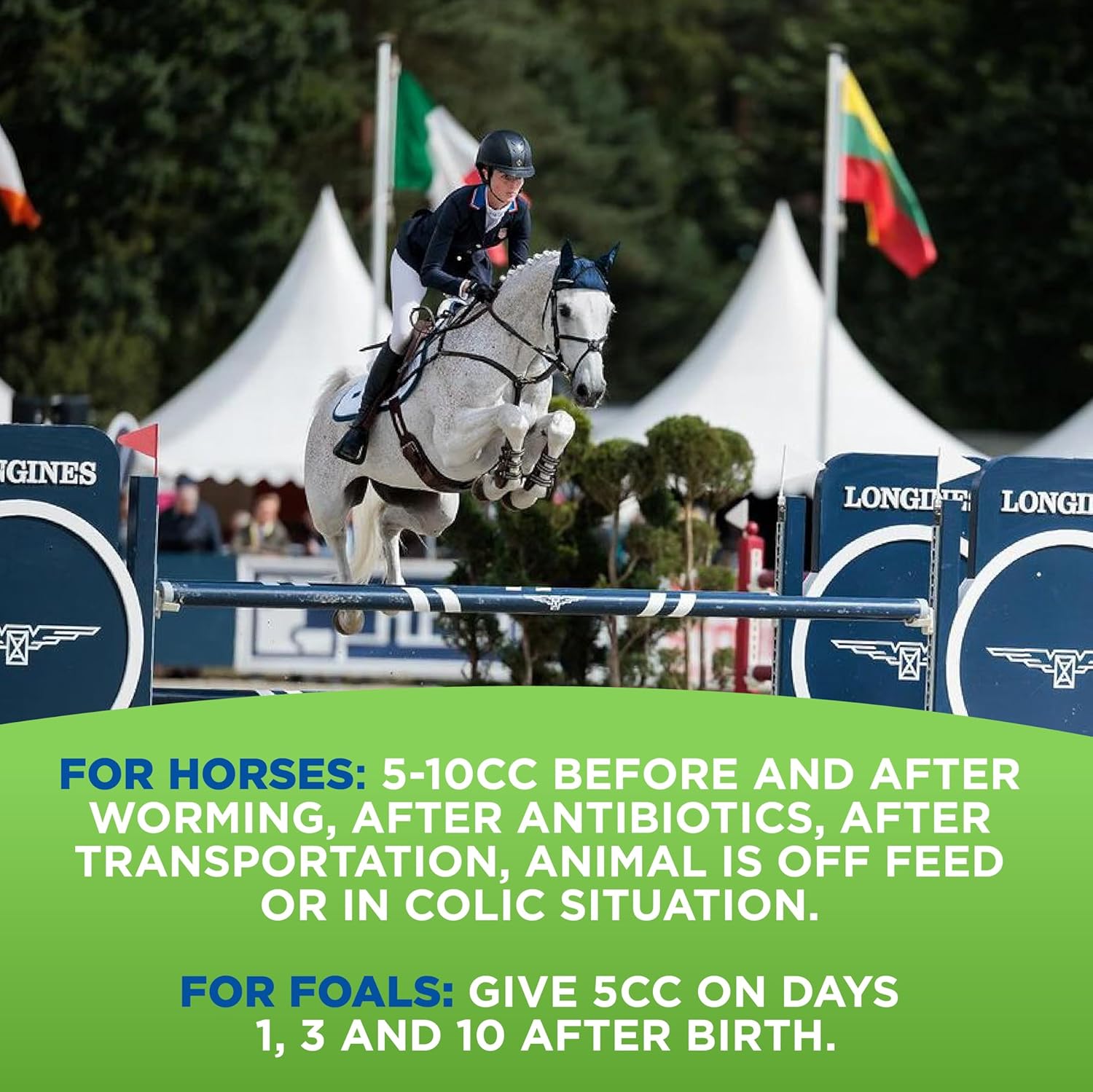 Natural Equine Gut Defense Supplement for Horses – Supports Digestion & Immune Health – Maintains Ph Levels – All-Natural Formula – Made in USA