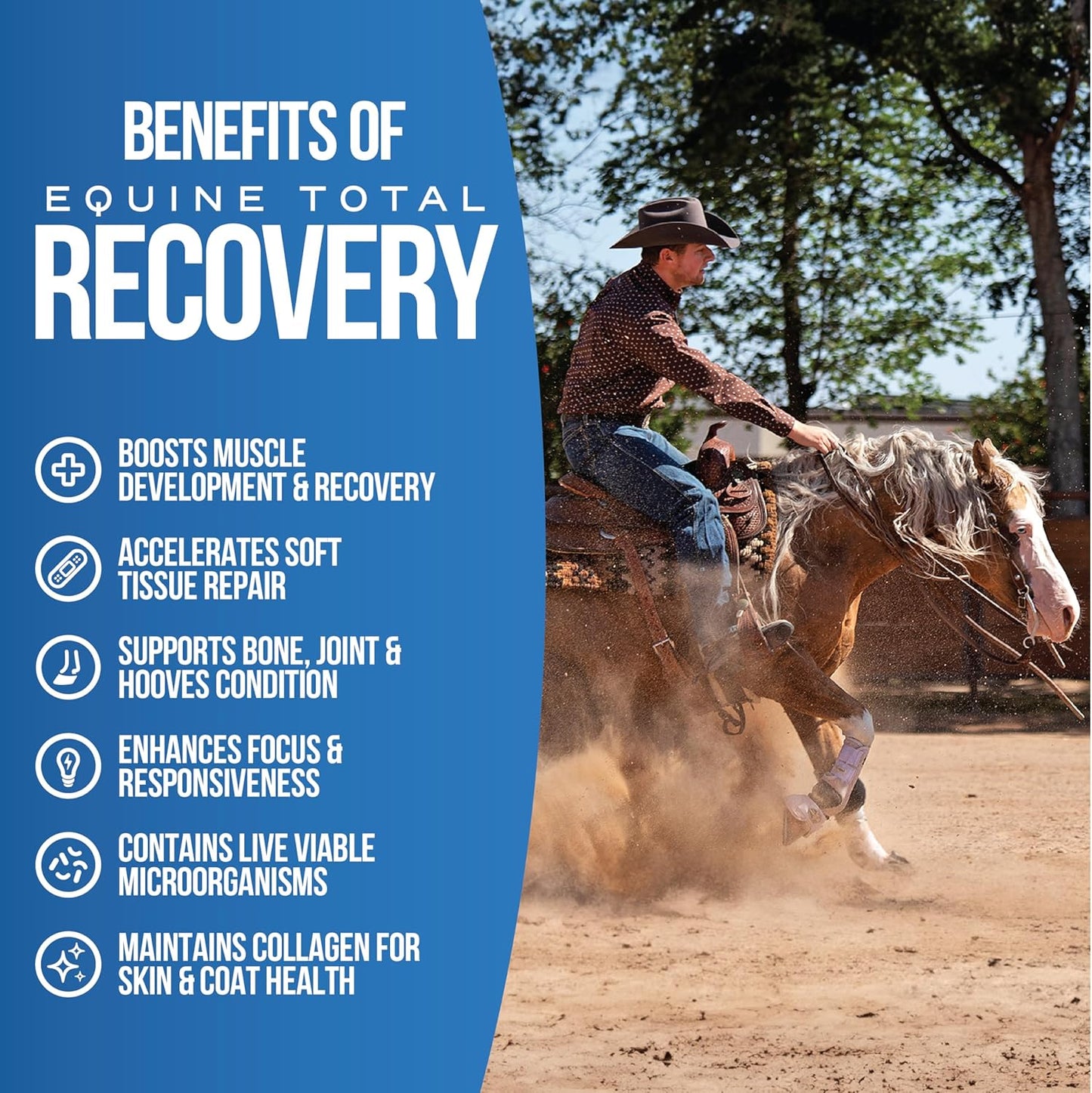 Natural Equine Joint Support Supplement with 9 Amino Acids and Probiotics for Horses - Total Recovery Formula - No Added Sugar - 100 Servings