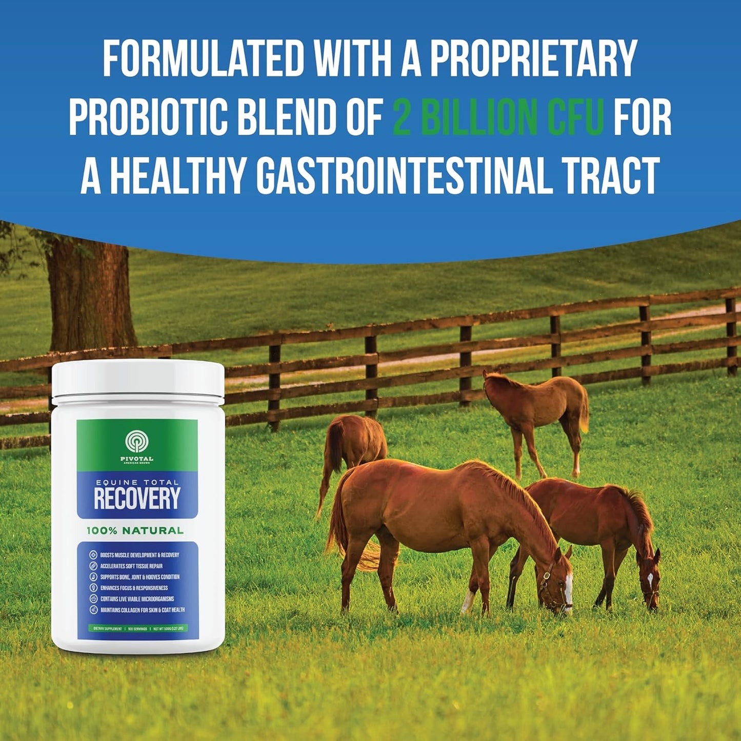 Natural Equine Joint Support Supplement with 9 Amino Acids and Probiotics for Horses - Total Recovery Formula - No Added Sugar - 100 Servings
