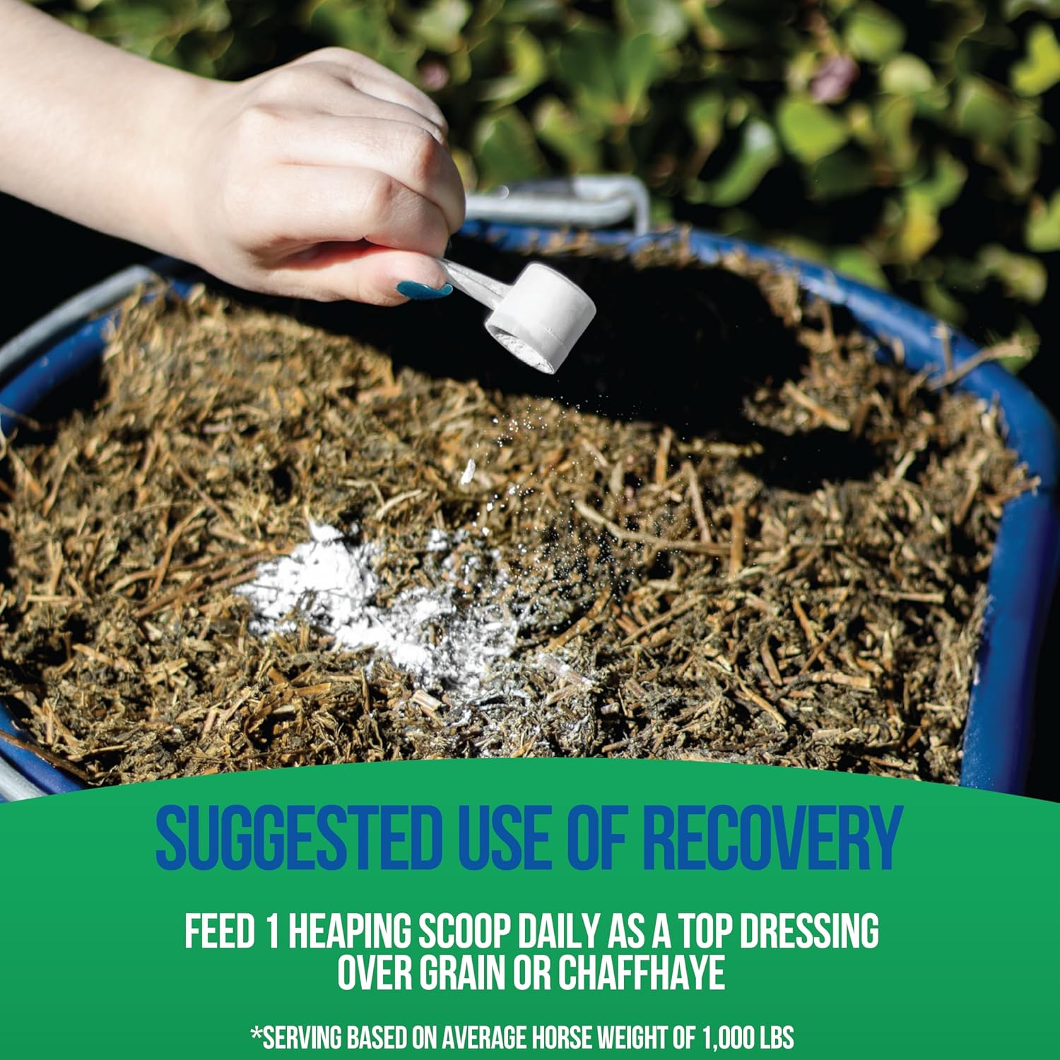 Natural Equine Joint Support Supplement with 9 Amino Acids and Probiotics for Horses - Total Recovery Formula - No Added Sugar - 100 Servings