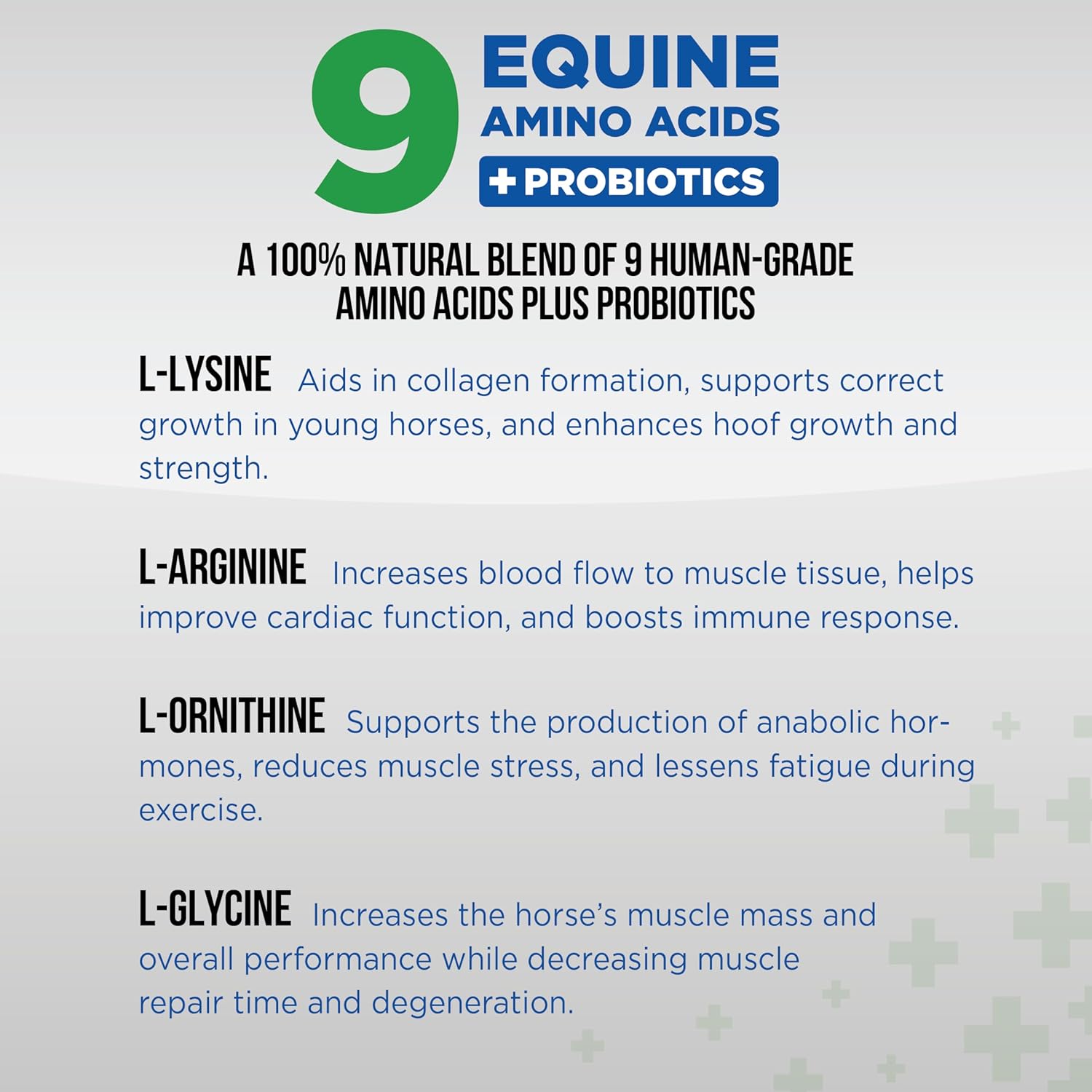 Natural Equine Joint Support Supplement with 9 Amino Acids and Probiotics for Horses - Total Recovery Formula - No Added Sugar - 100 Servings