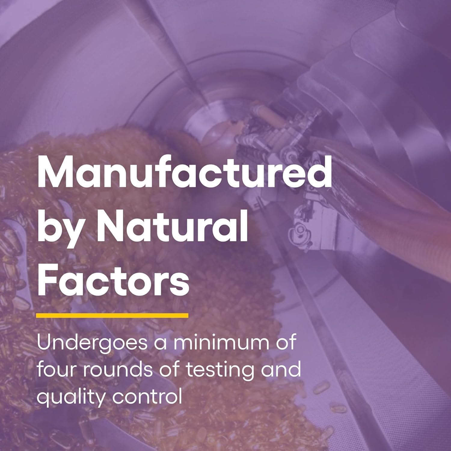 Natural Factors Coenzyme Q10 50 mg Softgels for Energy, Heart & Cognitive Support - Natural Supplement