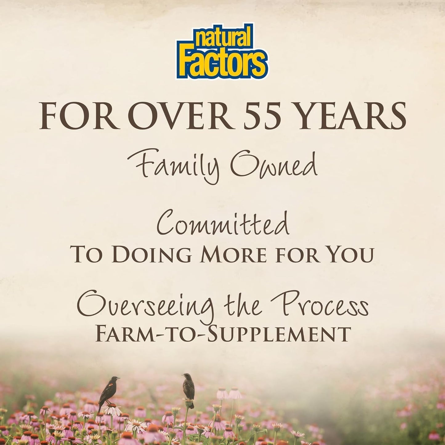 Natural Factors CranRich: Super Strength Cranberry Concentrate Softgels for Urinary Tract Health - Non-GMO Antioxidant Supplement (90 Servings)