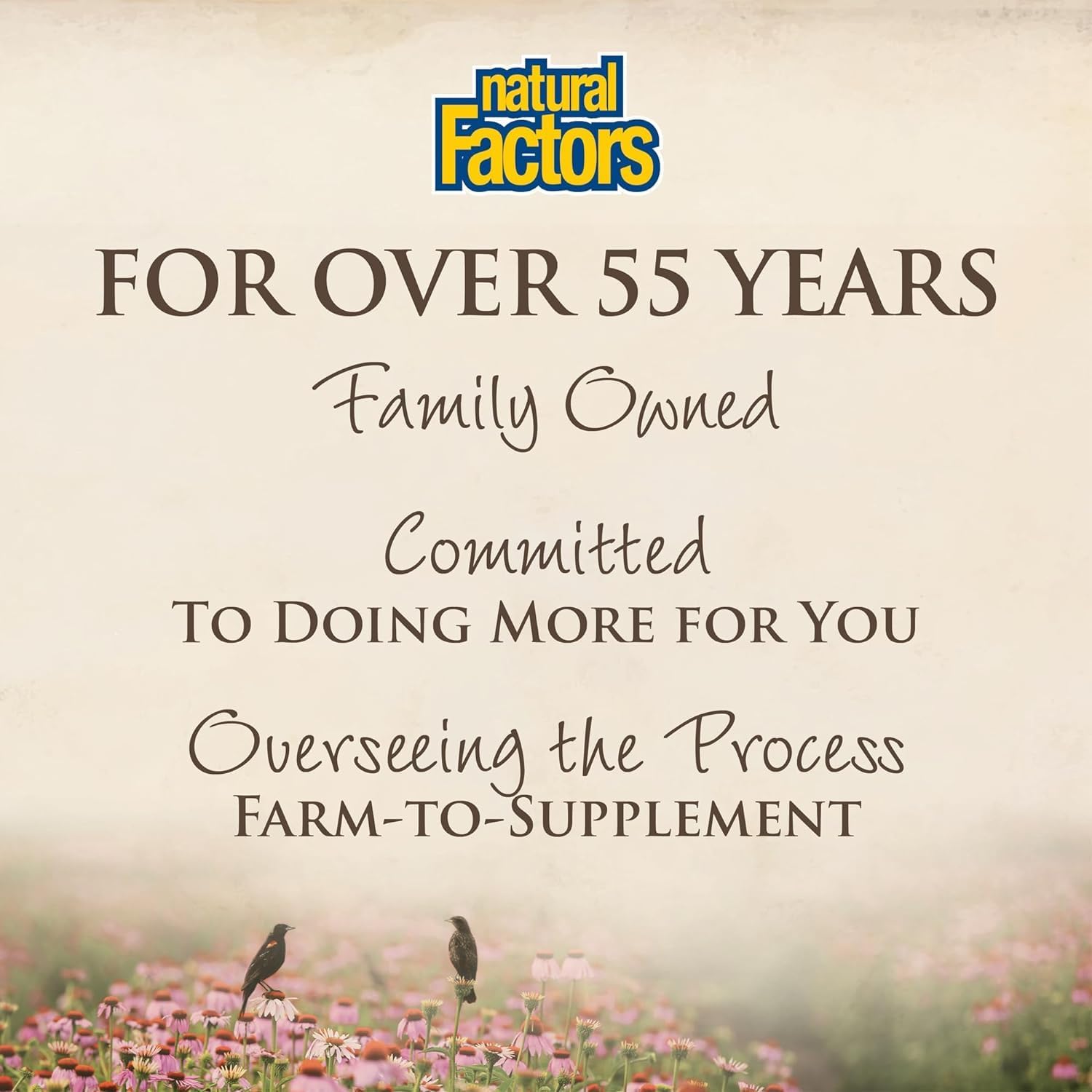 Natural Factors CurcuminRich Whole Body Curcumizer with Omega-3 EPA and DHA - Supports Heart, Joints, Brain, and Inflammation - 60 Softgels