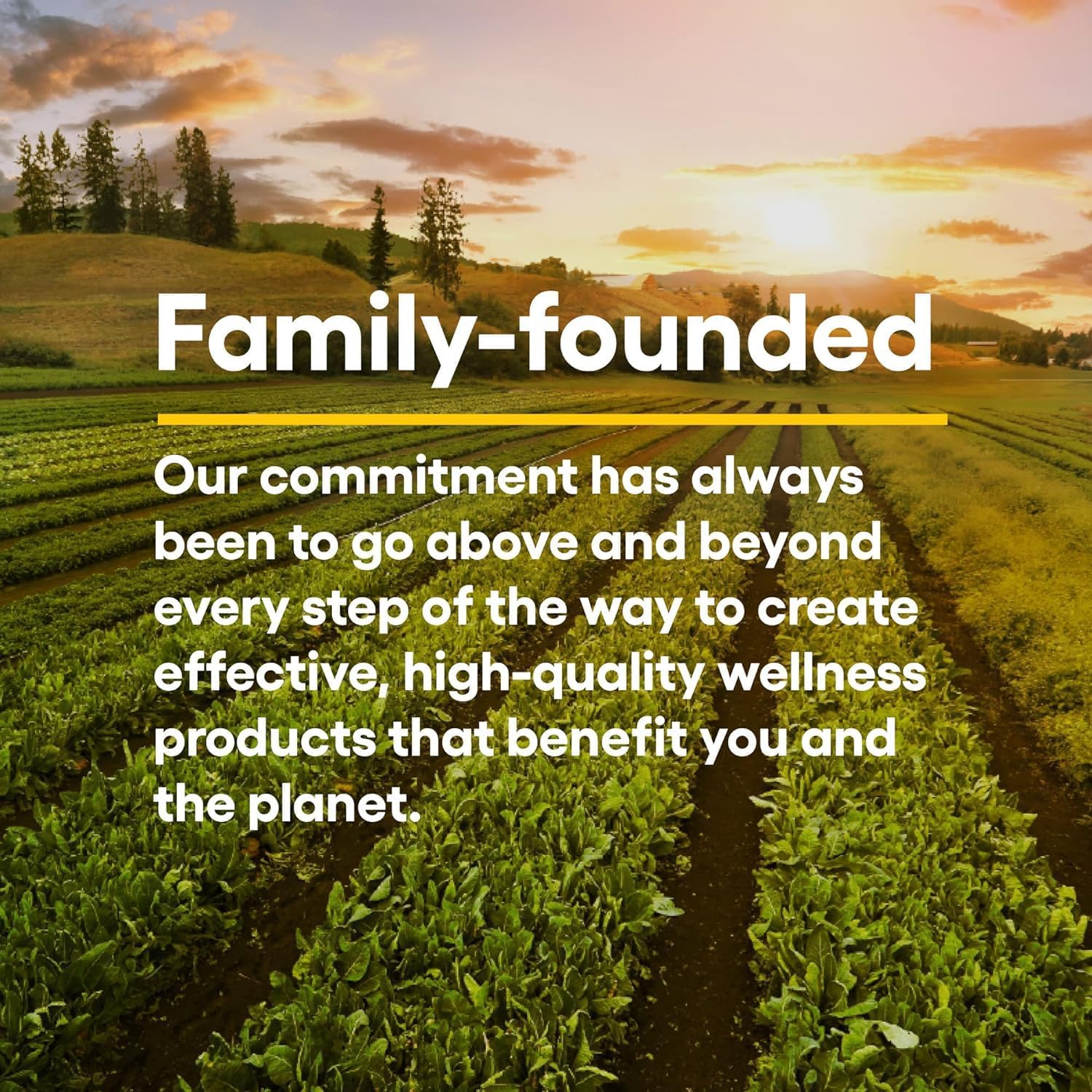 Natural Factors Stress-Relax Chewable Suntheanine L-Theanine 100mg Tablets - Tropical Fruit Flavor, Non-Drowsy Mental Calmness Support