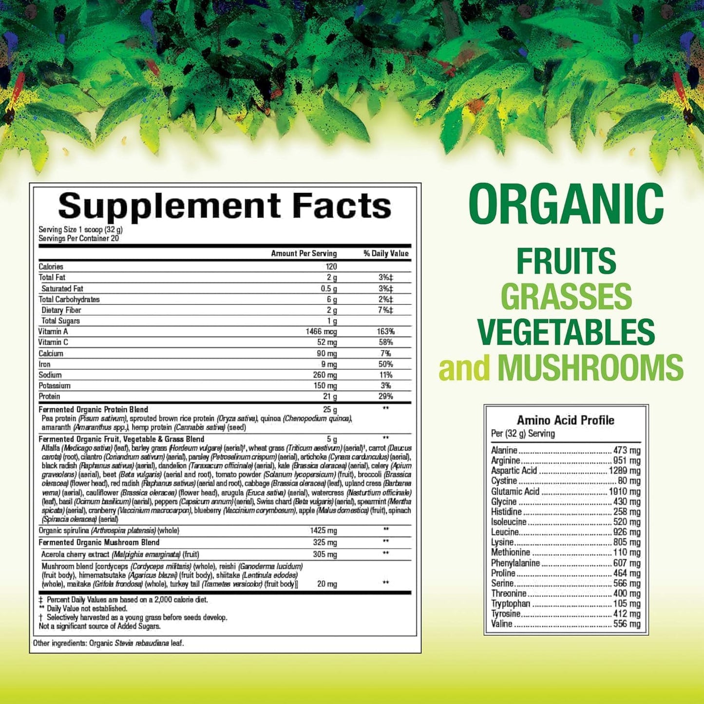 Natural Factors Whole Earth & Sea Organic Fermented Protein & Greens Supplement, Vegan, Unflavored - 1 lb 9 Oz
