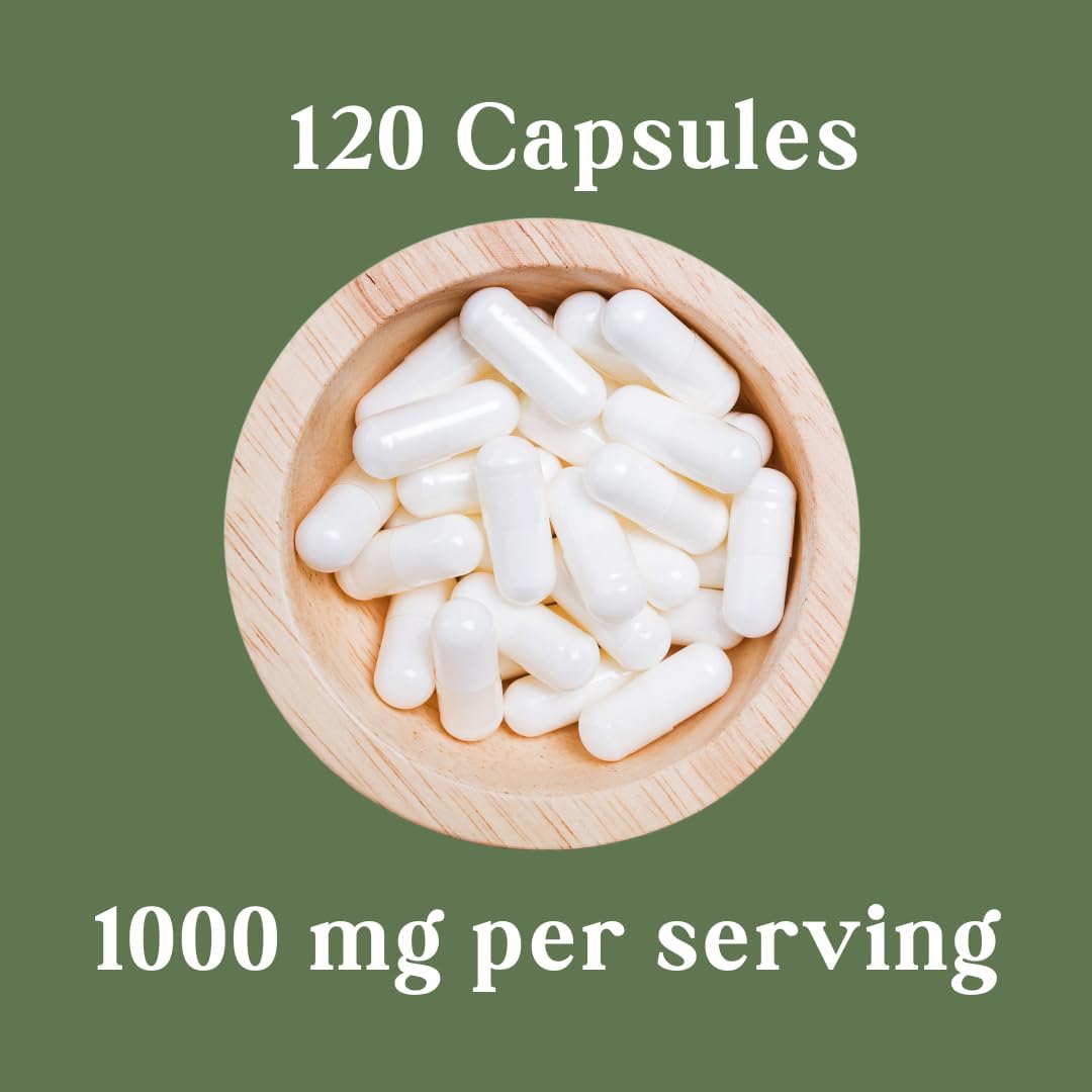 Natural Gastrointestinal Support Supplement - Logic Nutra Mastic Gum Capsules, 1000mg - 240 Capsules in Total