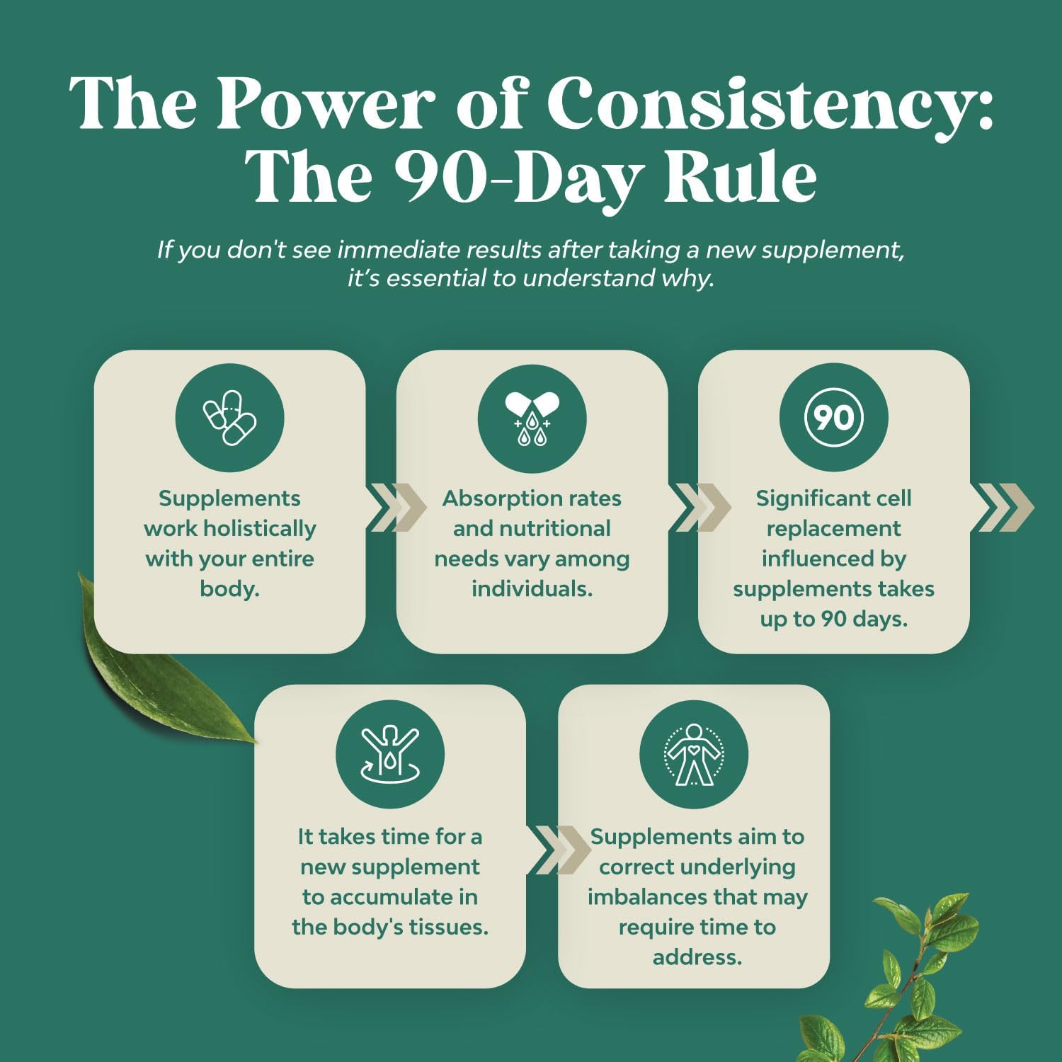 Natural Green Coffee Bean Extract: Herbal Fat Burners - Appetite Suppressant for Weight Loss - Boost Energy and Immunity - Men and Women Support