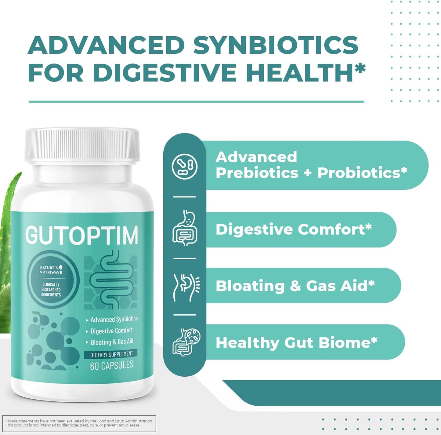 Natural Gut Health Probiotic & Prebiotic Capsules for Women & Men - Enzyme with Probiotics for Digestive Health - Non-GMO, 60 Ct, 6 Month Supply