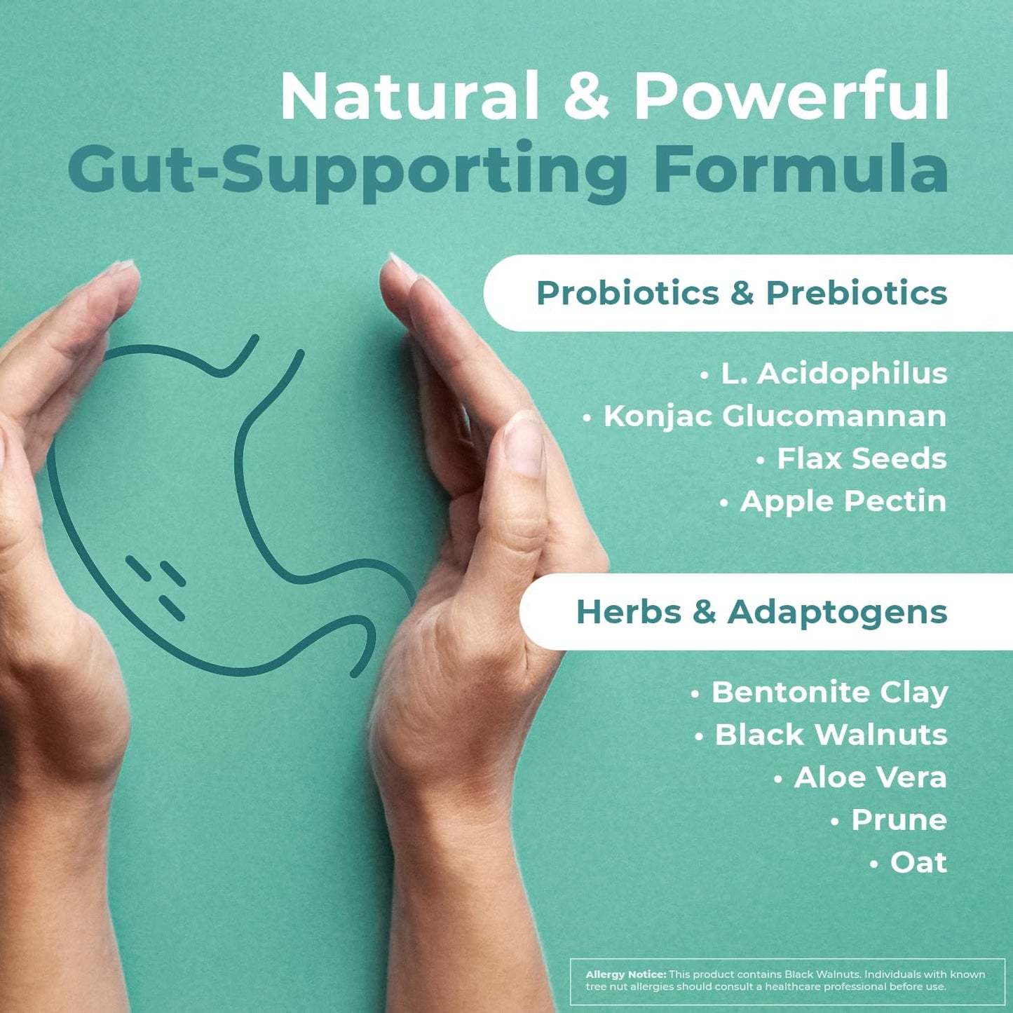 Natural Gut Health Probiotic & Prebiotic Capsules for Women & Men - Enzyme with Probiotics for Digestive Health - Non-GMO, 60 Ct, 6 Month Supply