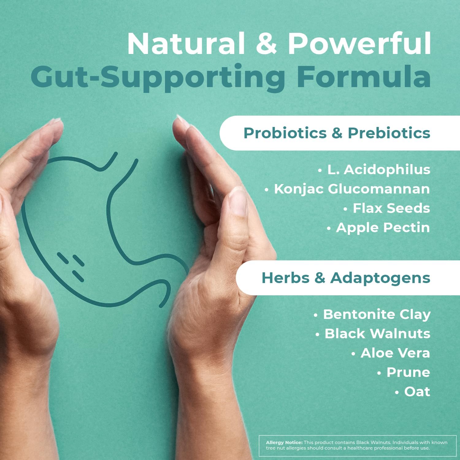 Natural Gut Health Probiotic & Prebiotic Capsules for Women & Men - Enzyme with Probiotics for Digestive Health - Non-GMO, 60 Ct, 6 Month Supply