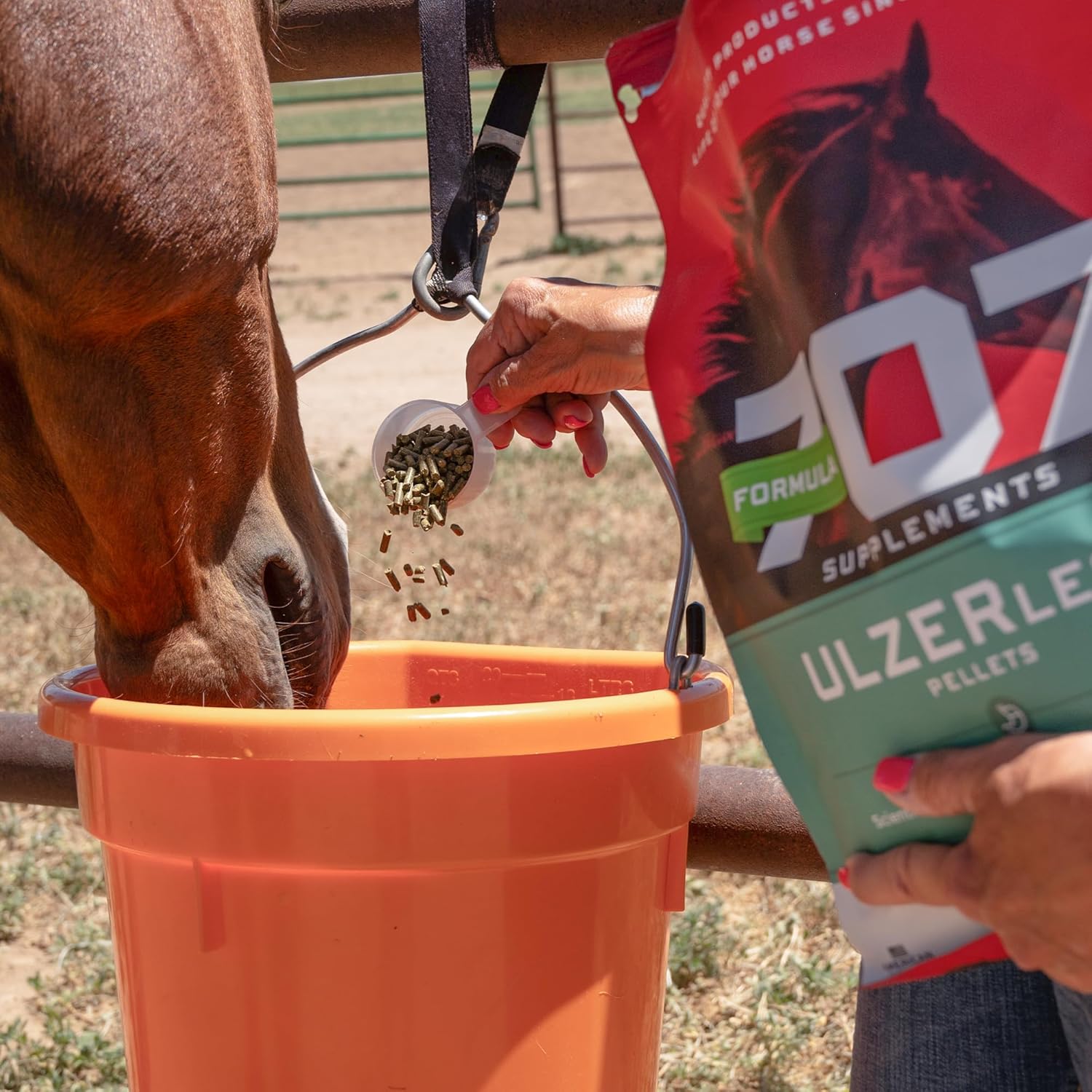 Natural Gut Support Equine Supplement for Horses at Risk of Ulcers - 7.5lb Bag Formula 707 ULZERless