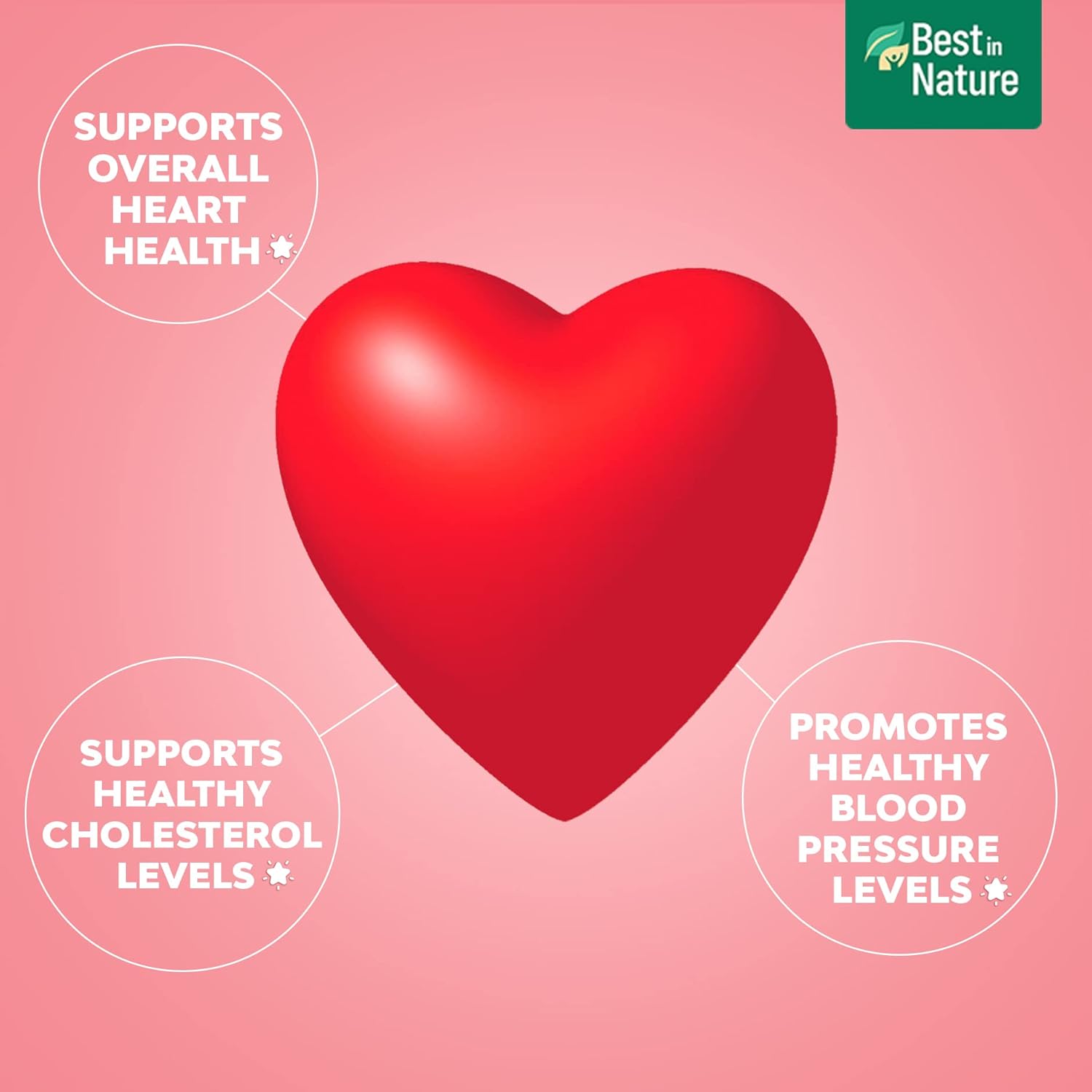 Natural Heart Health Supplement with Coq 10, Salvia Miltiorrhiza, Panax Pseudoginseng - 30 Capsules