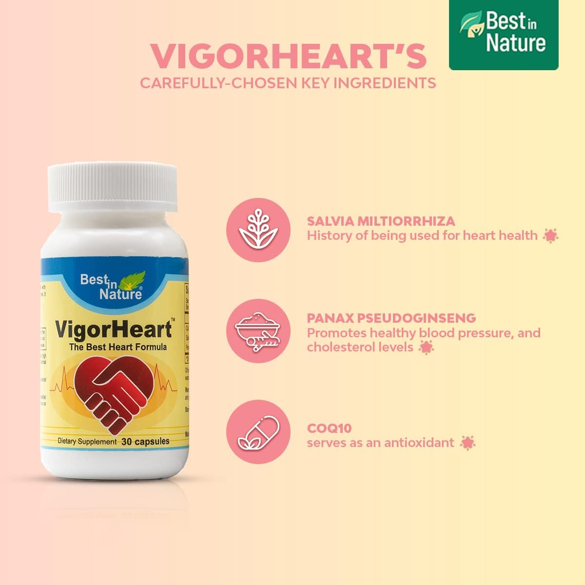 Natural Heart Health Supplement with Coq 10, Salvia Miltiorrhiza, Panax Pseudoginseng - 30 Capsules