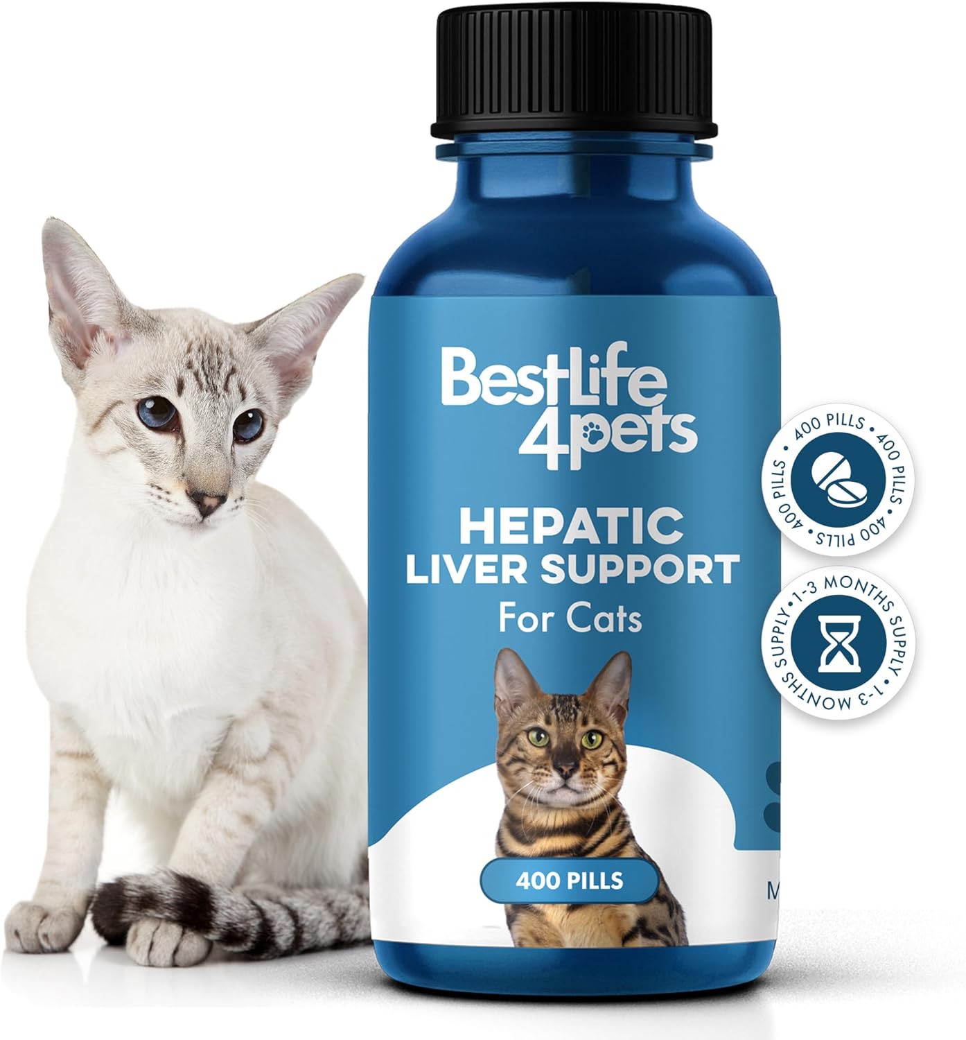 Natural Hepatic Liver Support for Cats - Dissolvable Homeopathic Feline Supplement for Digestive Health and Nutrient Absorption - 400 All Natural Pills
