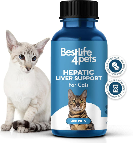 Natural Hepatic Liver Support for Cats - Dissolvable Homeopathic Feline Supplement for Digestive Health and Nutrient Absorption - 400 All Natural Pills