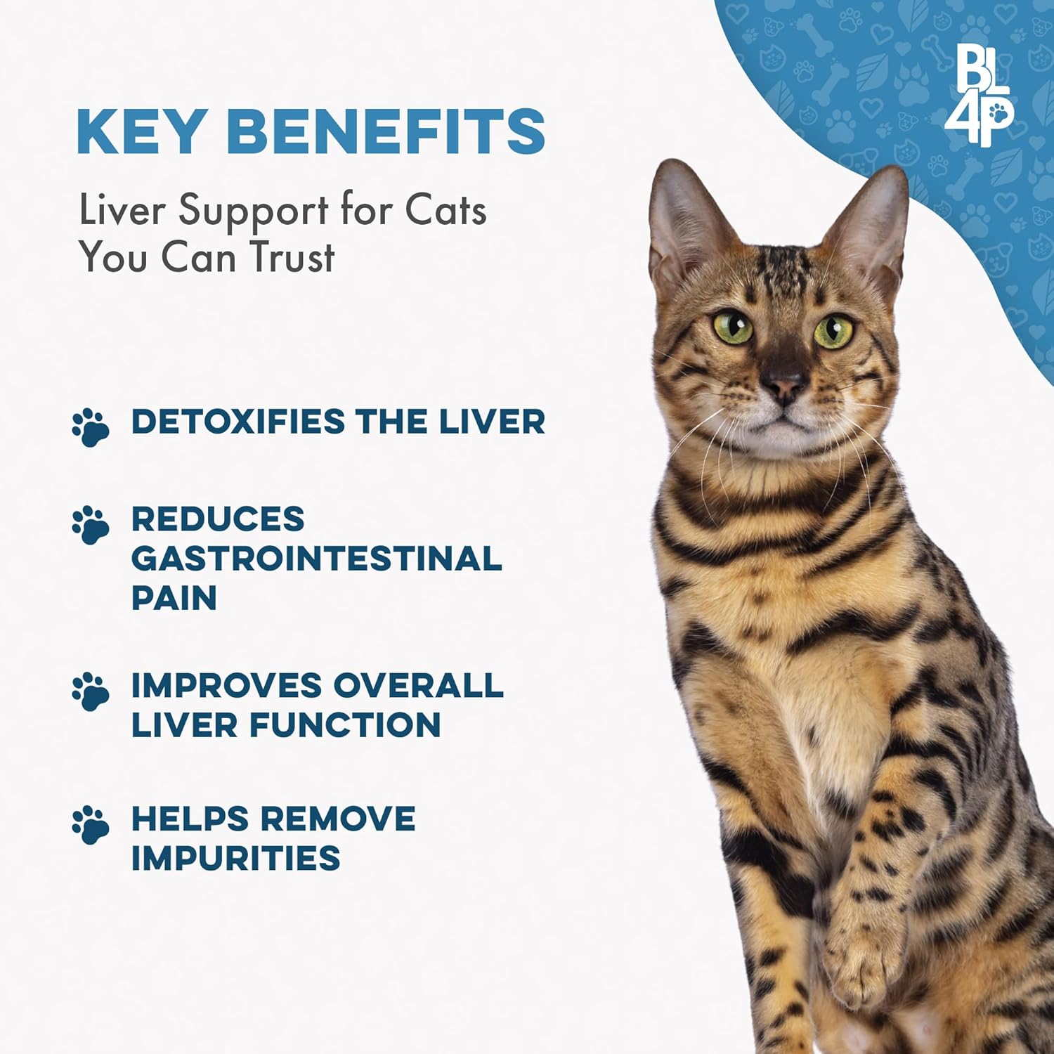 Natural Hepatic Liver Support for Cats - Dissolvable Homeopathic Feline Supplement for Digestive Health and Nutrient Absorption - 400 All Natural Pills