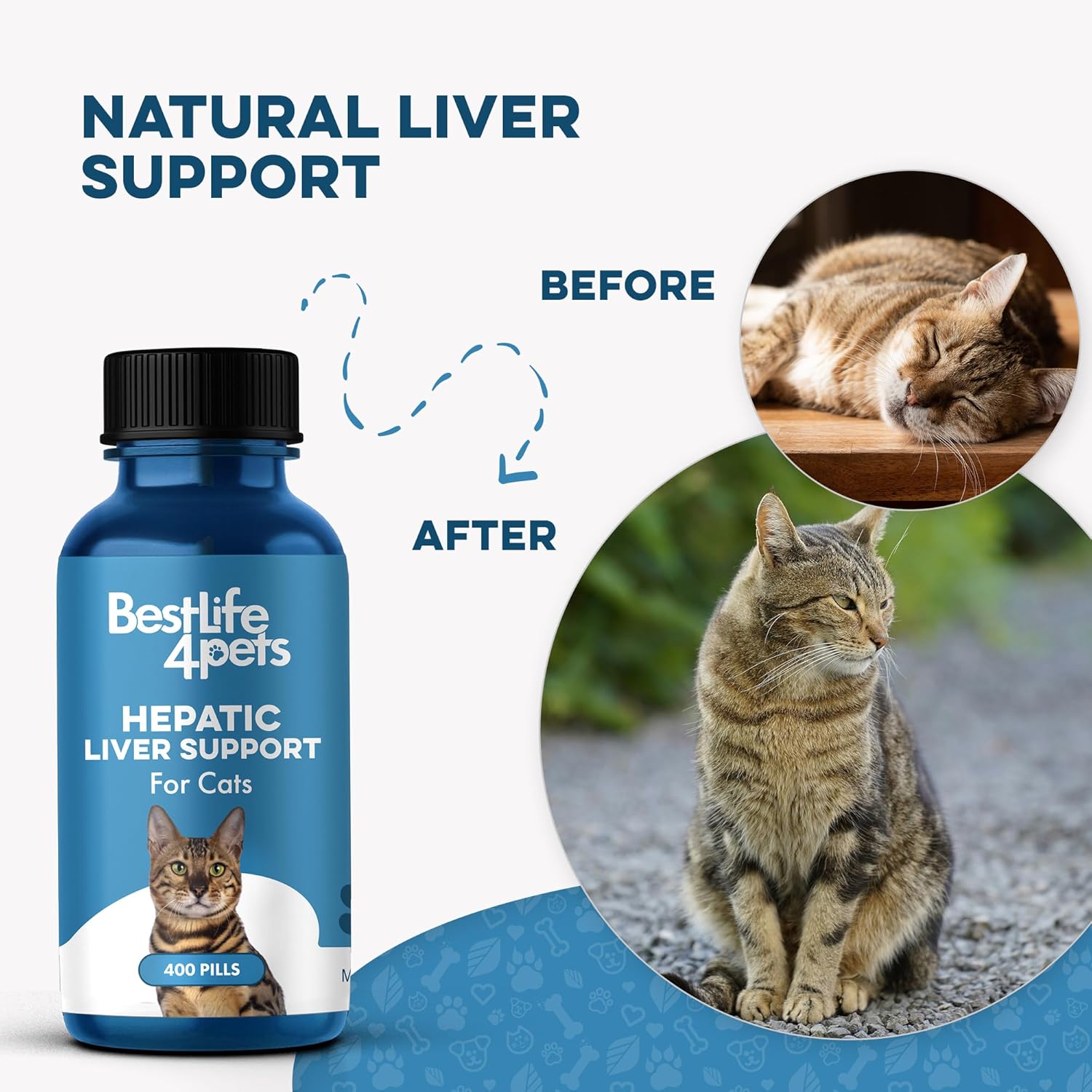 Natural Hepatic Liver Support for Cats - Dissolvable Homeopathic Feline Supplement for Digestive Health and Nutrient Absorption - 400 All Natural Pills