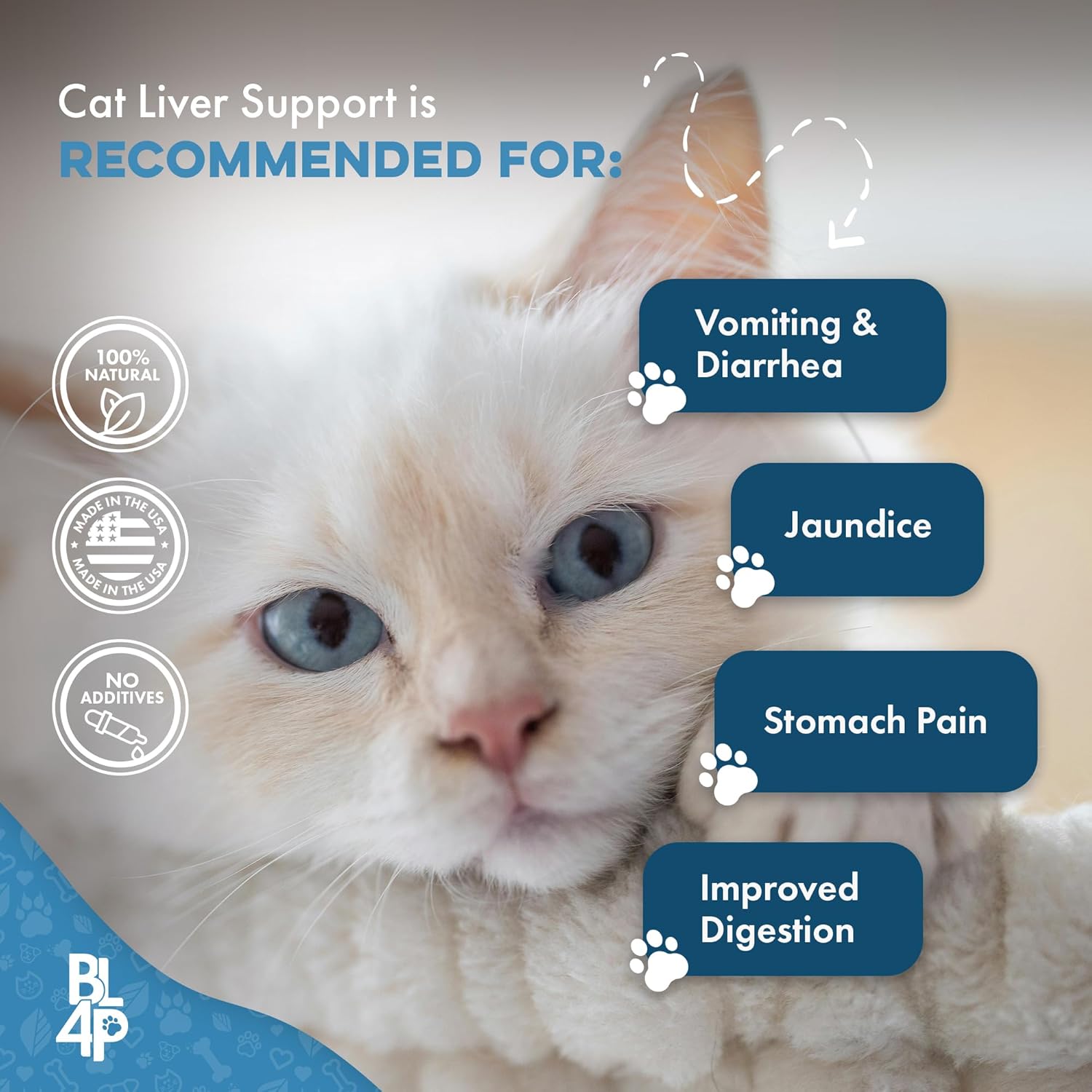 Natural Hepatic Liver Support for Cats - Dissolvable Homeopathic Feline Supplement for Digestive Health and Nutrient Absorption - 400 All Natural Pills