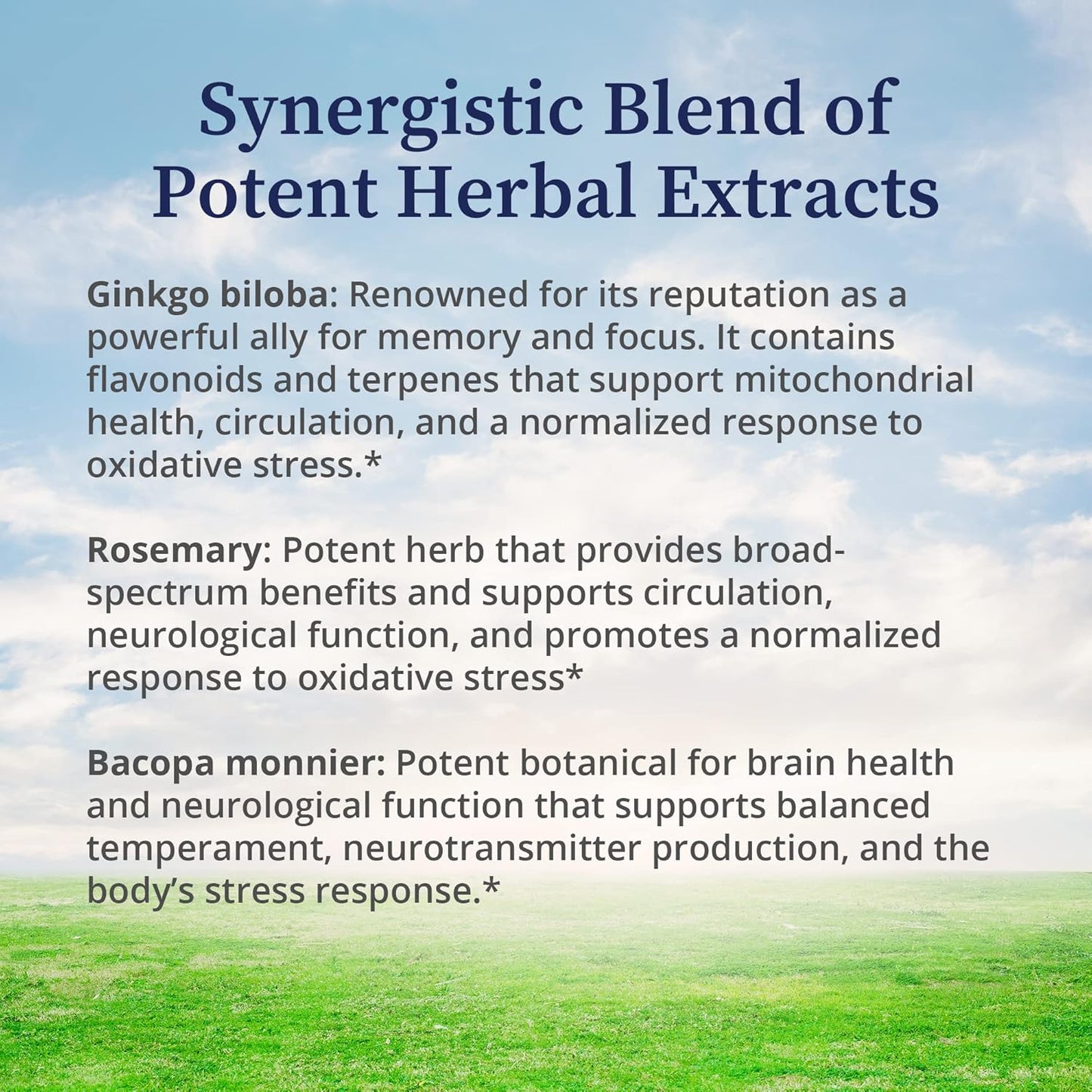 Natural Herbal Brain Tincture with Ginkgo Biloba, Rosemary, and Bacopa - Mental Clarity & Memory Support - 2 fl oz