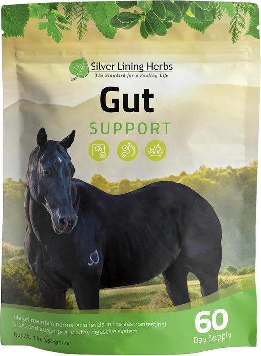 Natural Herbal Gut Support Supplement for Horses - Equine Ulcer & Pulmonary Health - 1 lb Bag