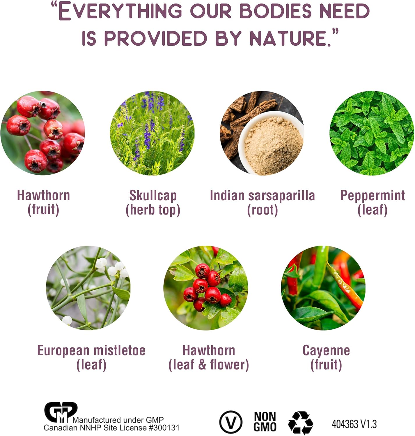 Natural Herbal Heart Health Supplement for Men and Women - Strauss Naturals Cardio Support Drops - Promotes Healthy Cardiovascular System - Vegan & Non-GMO - Spearmint Flavored - 100 ml Bottle