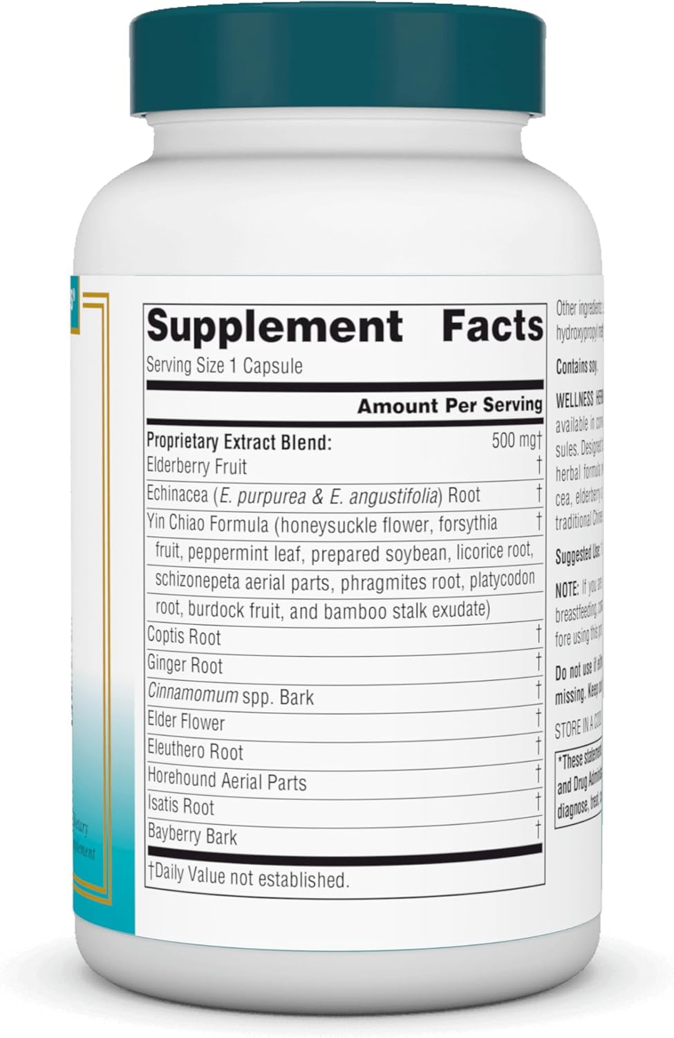 Natural Herbal Immune Support Capsules - Echinacea, Coptis & Yin Chiao - 120 Count