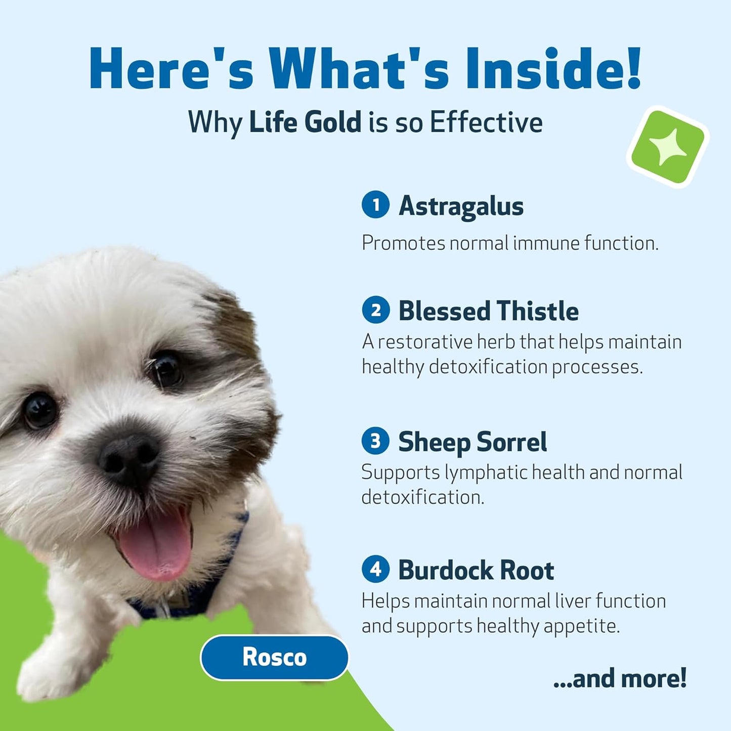 Natural Herbal Immune Support Supplement for Dogs - Pet Wellbeing Life Gold - Vet-Formulated Antioxidant Protection - 2 oz