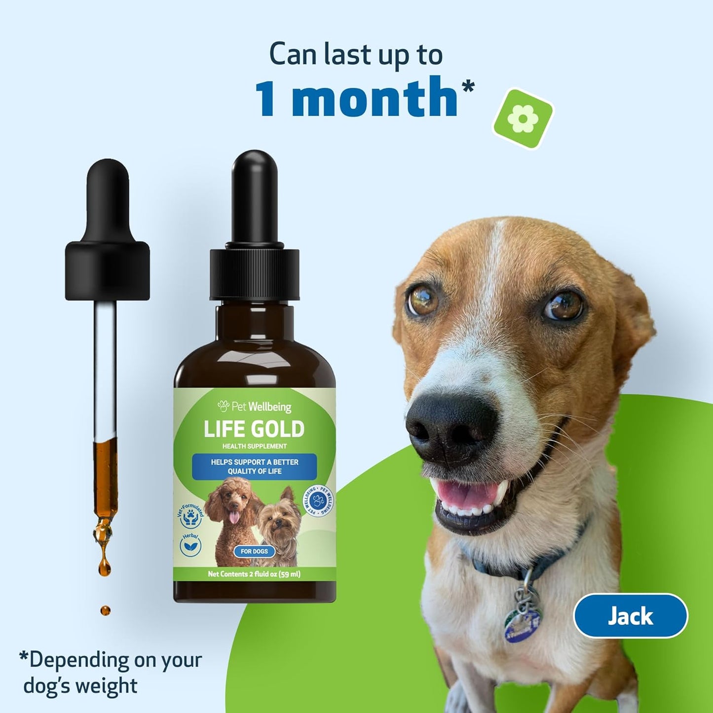 Natural Herbal Immune Support Supplement for Dogs - Pet Wellbeing Life Gold - Vet-Formulated Antioxidant Protection - 2 oz