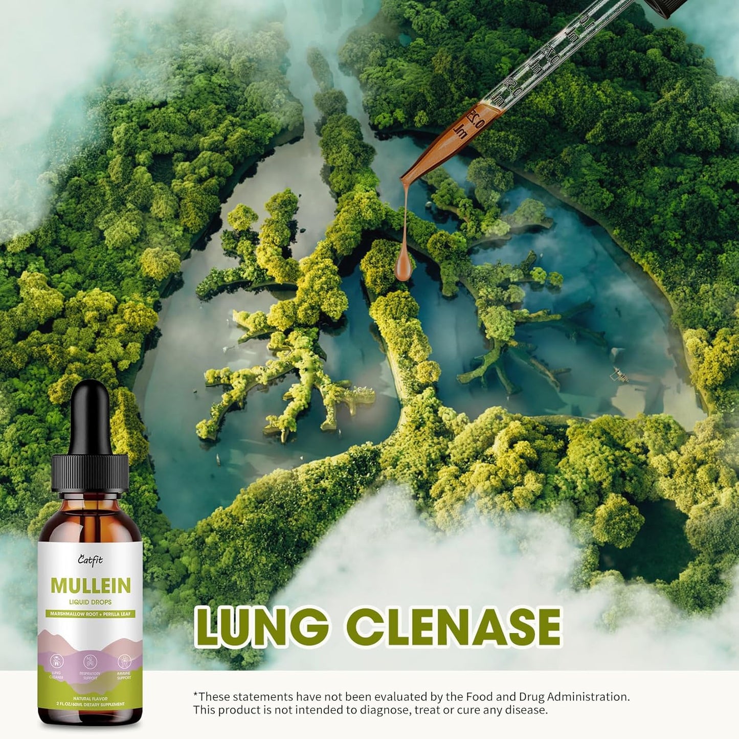 Natural Herbal Mullein Drops with Marshmallow Root for Lung Health - Immune Support & Respiratory Detox - Vegan Formula - 2 fl oz