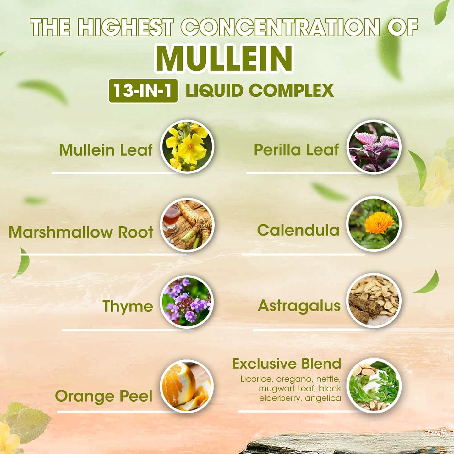 Natural Herbal Mullein Drops with Marshmallow Root for Lung Health - Immune Support & Respiratory Detox - Vegan Formula - 2 fl oz