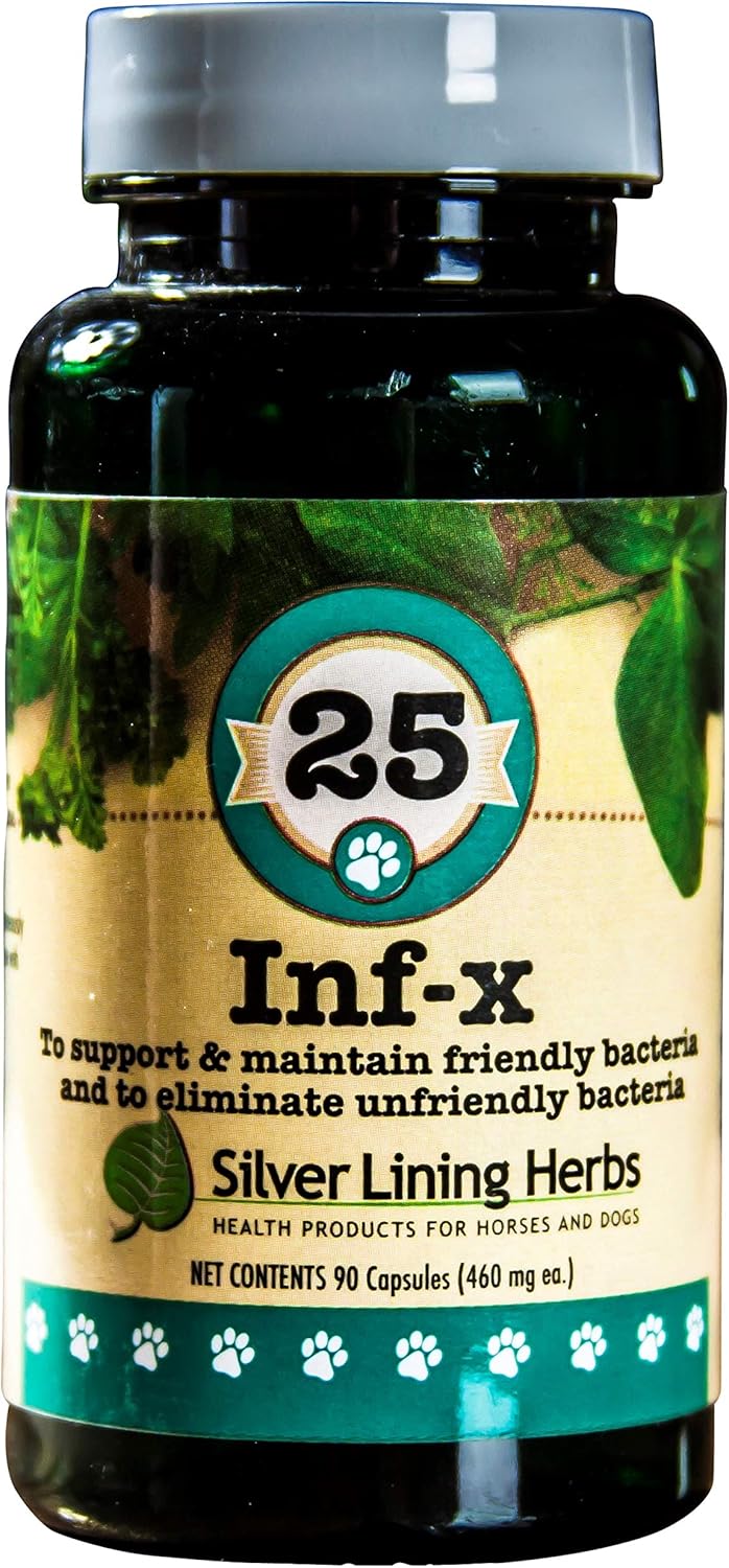 Natural Herbal Supplement for Dogs - Supports Healthy Digestion & Detoxification - Silver Lining Herbs 25 Canine INF-X - 90 Capsules