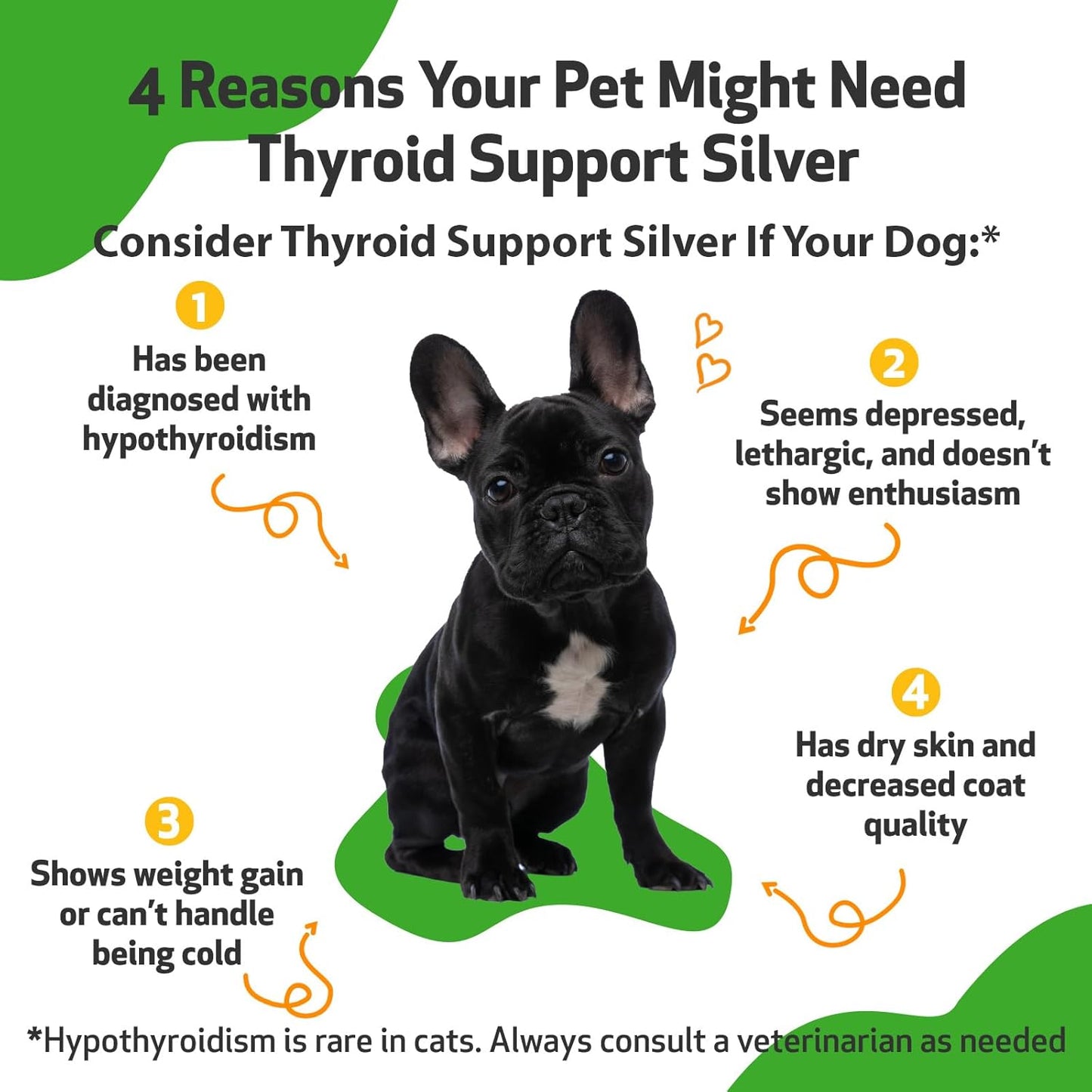 Natural Herbal Thyroid Support Supplement for Dogs - Promotes Healthy Metabolism, Balanced Energy Levels - Veterinarian Formulated with Ashwagandha and Bacopa - 2 oz