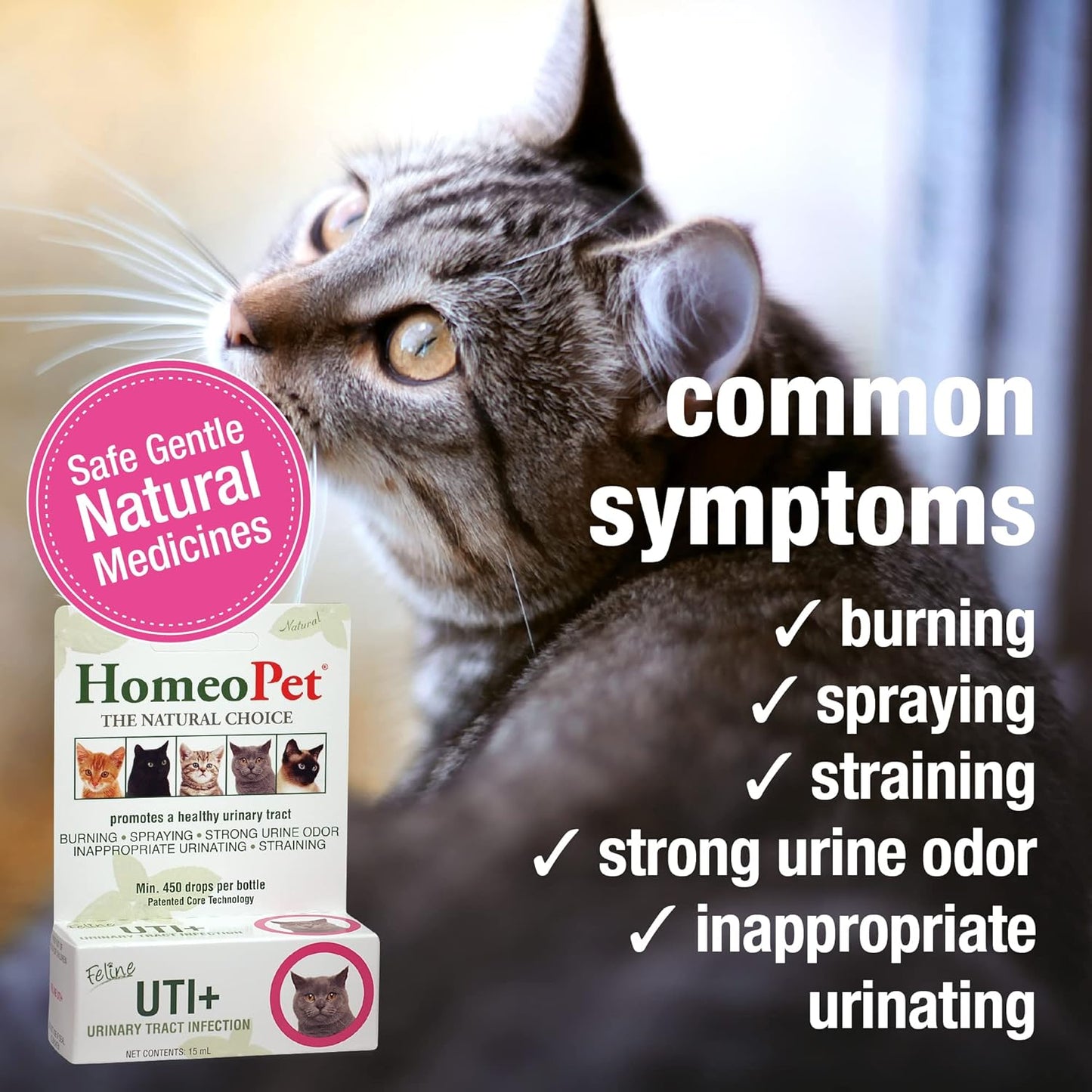 Natural Homeopathic Feline UTI Plus - 15ml - Cat Urinary Tract Support
