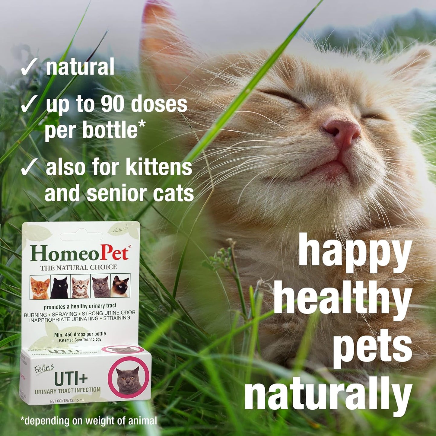 Natural Homeopathic Feline UTI Plus - 15ml - Cat Urinary Tract Support