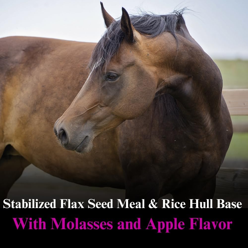 Natural Horse Calming Supplement Powder - Promotes Calmness & Balanced Behavior - 4lb, 60 Day Supply