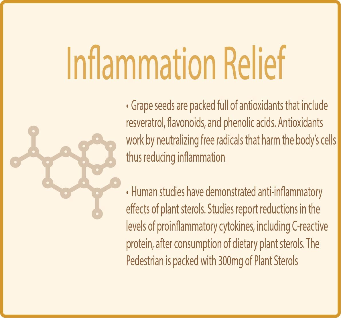 Natural Joint and Muscle Support Supplement with Allergy Relief - 7 Plant-Based Ingredients for Adults - Including Bromelain, Zinc, and Vitamin E