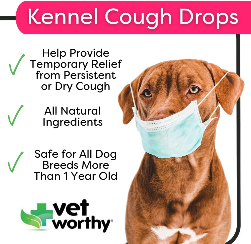 Natural Kennel Cough Drops for Dogs - Relief for Dry Cough - Herbal Supplement with Drosera Rotundifolia, Arsenicum Album, Spongia Tosta - 0.5oz
