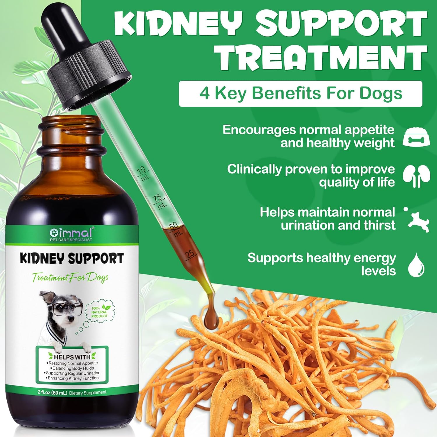 Natural Kidney Support Supplement for Dogs - 60ML Herbal Treats for Immune, Urinary, and Kidney Health, Promotes Regular Urination