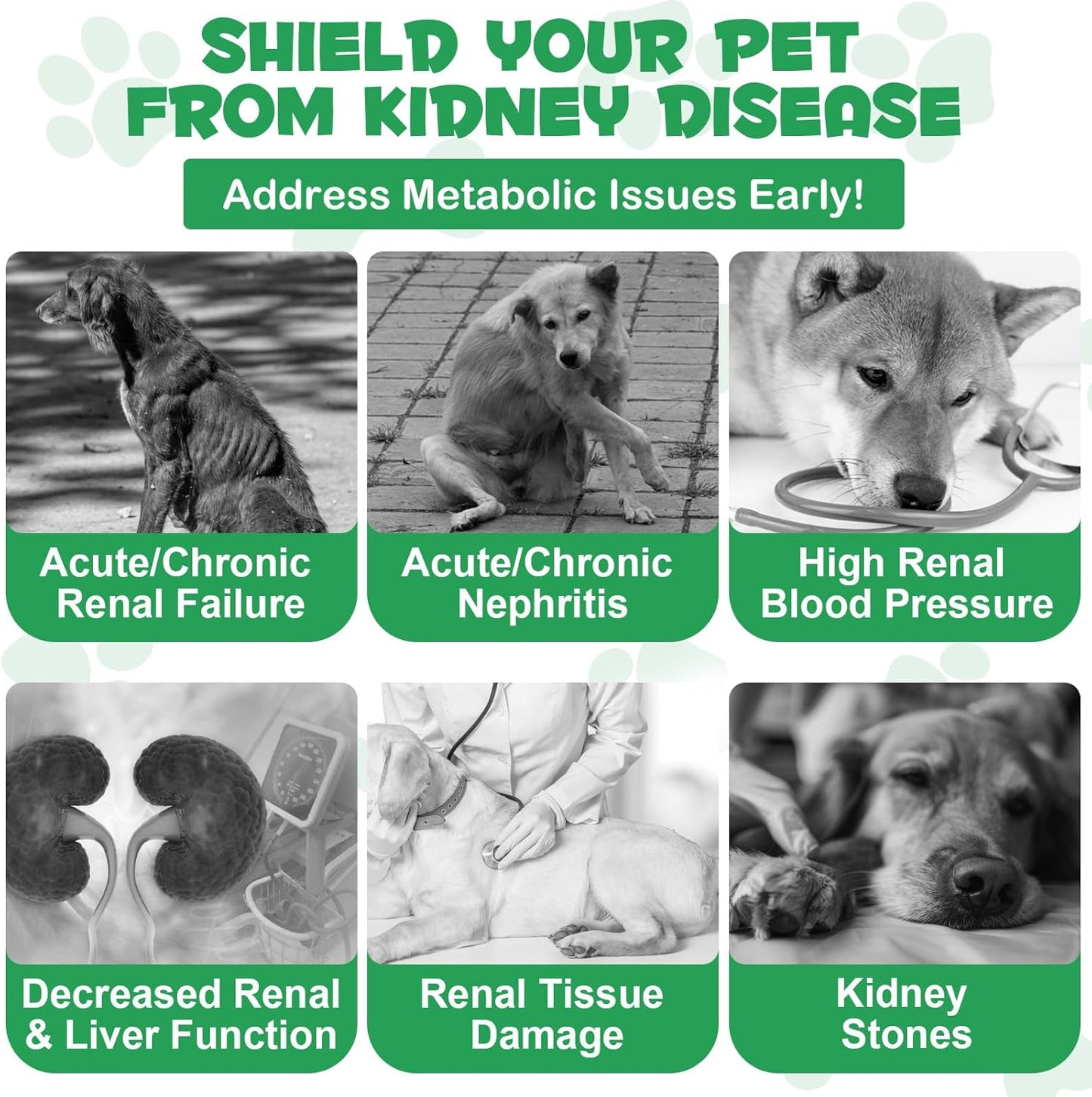 Natural Kidney Support Supplement for Dogs - 60ML Herbal Treats for Immune, Urinary, and Kidney Health, Promotes Regular Urination
